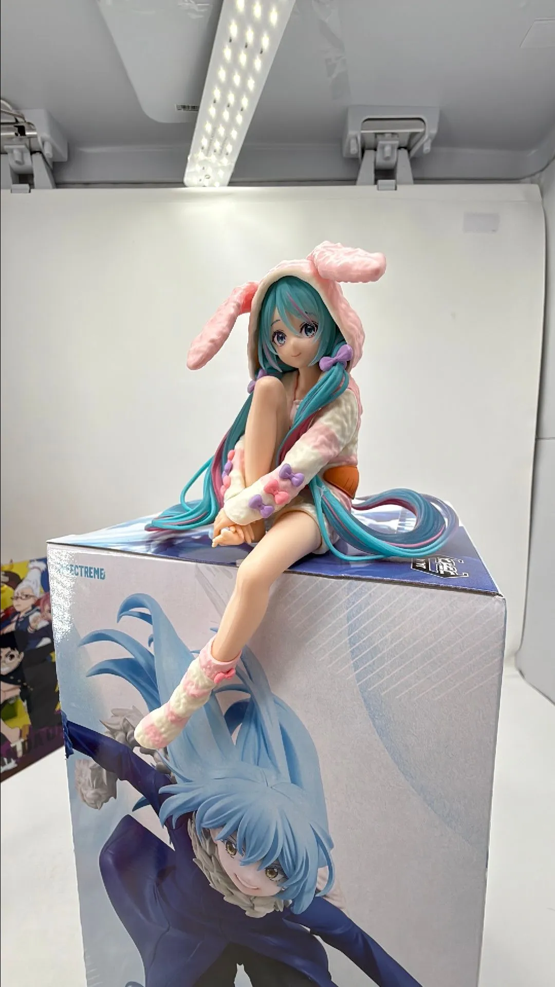 Product image for Damaged but repaired Miku Noodle stopper #4