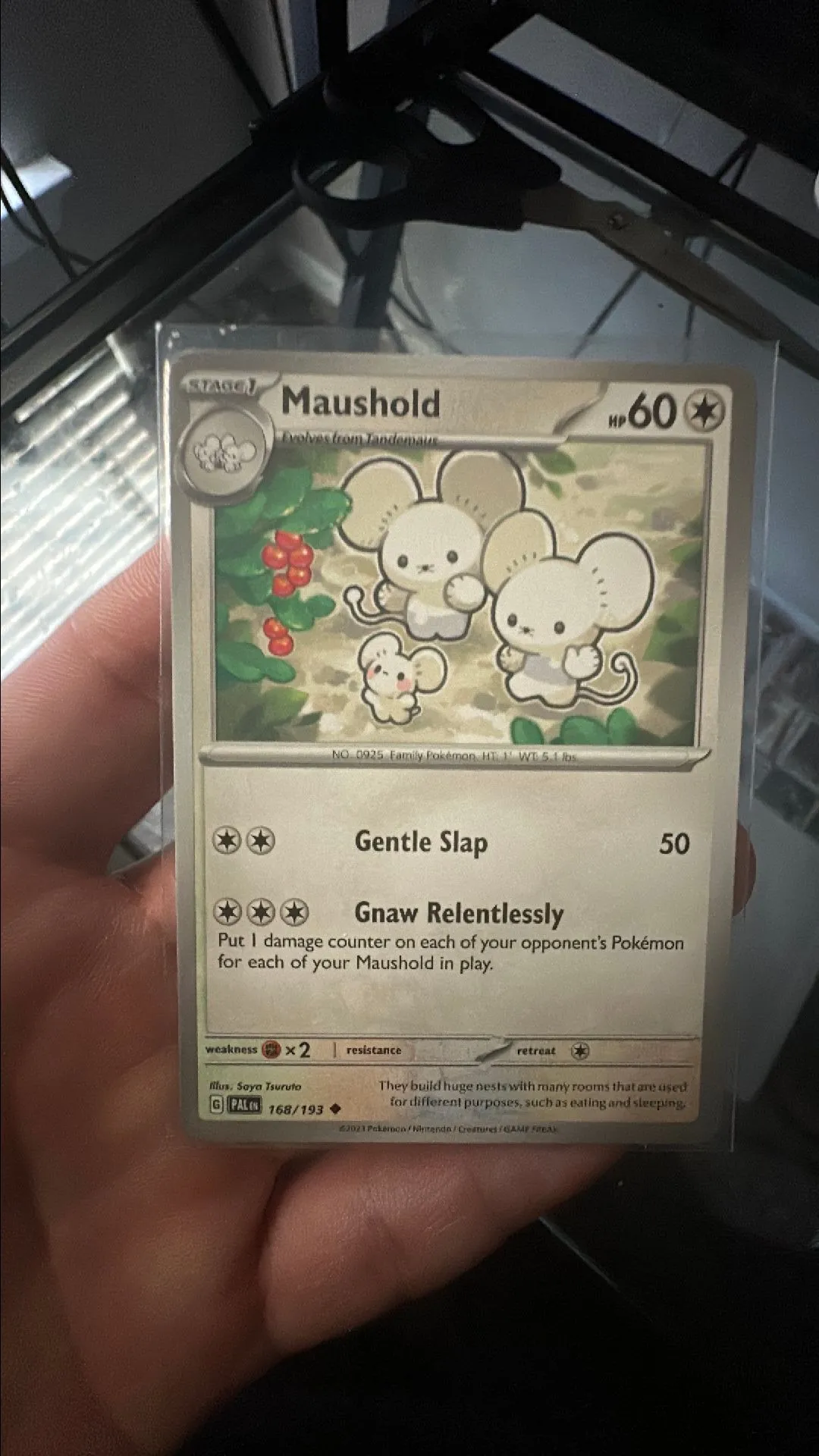 Product image for Maushold (Paldea Evolved)