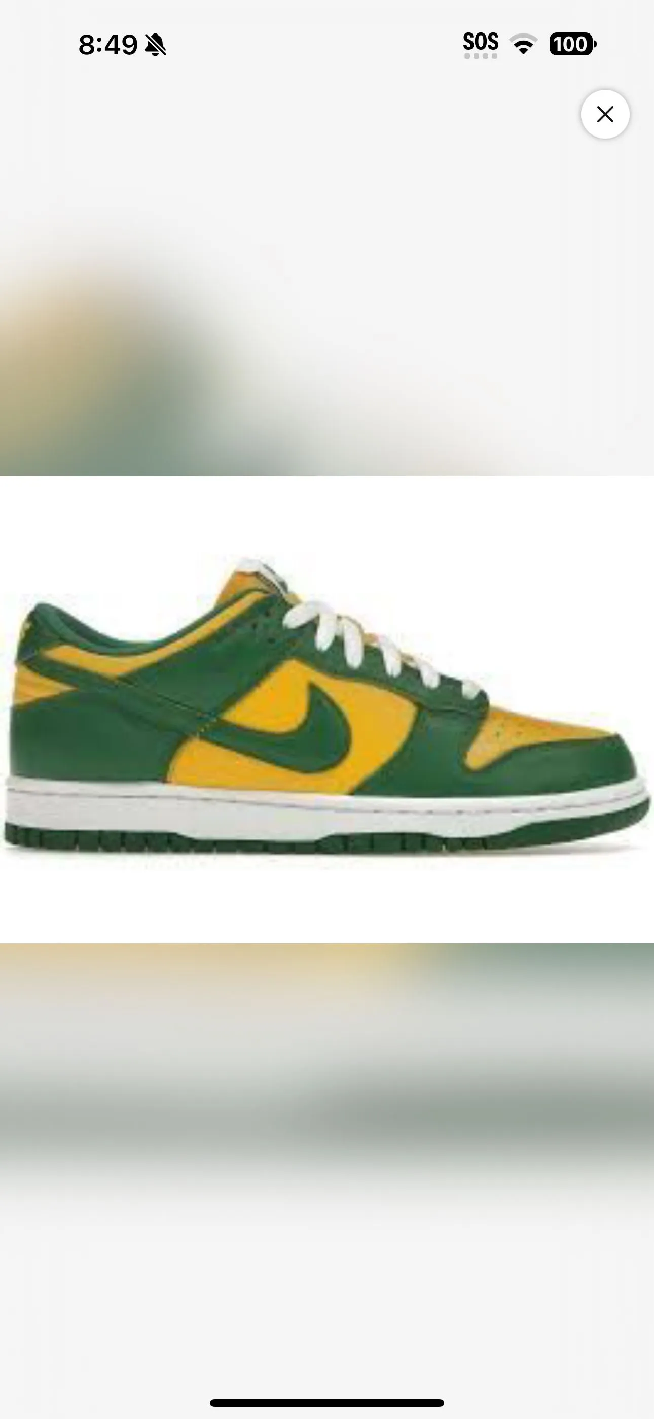 Product image for Brazil dunks