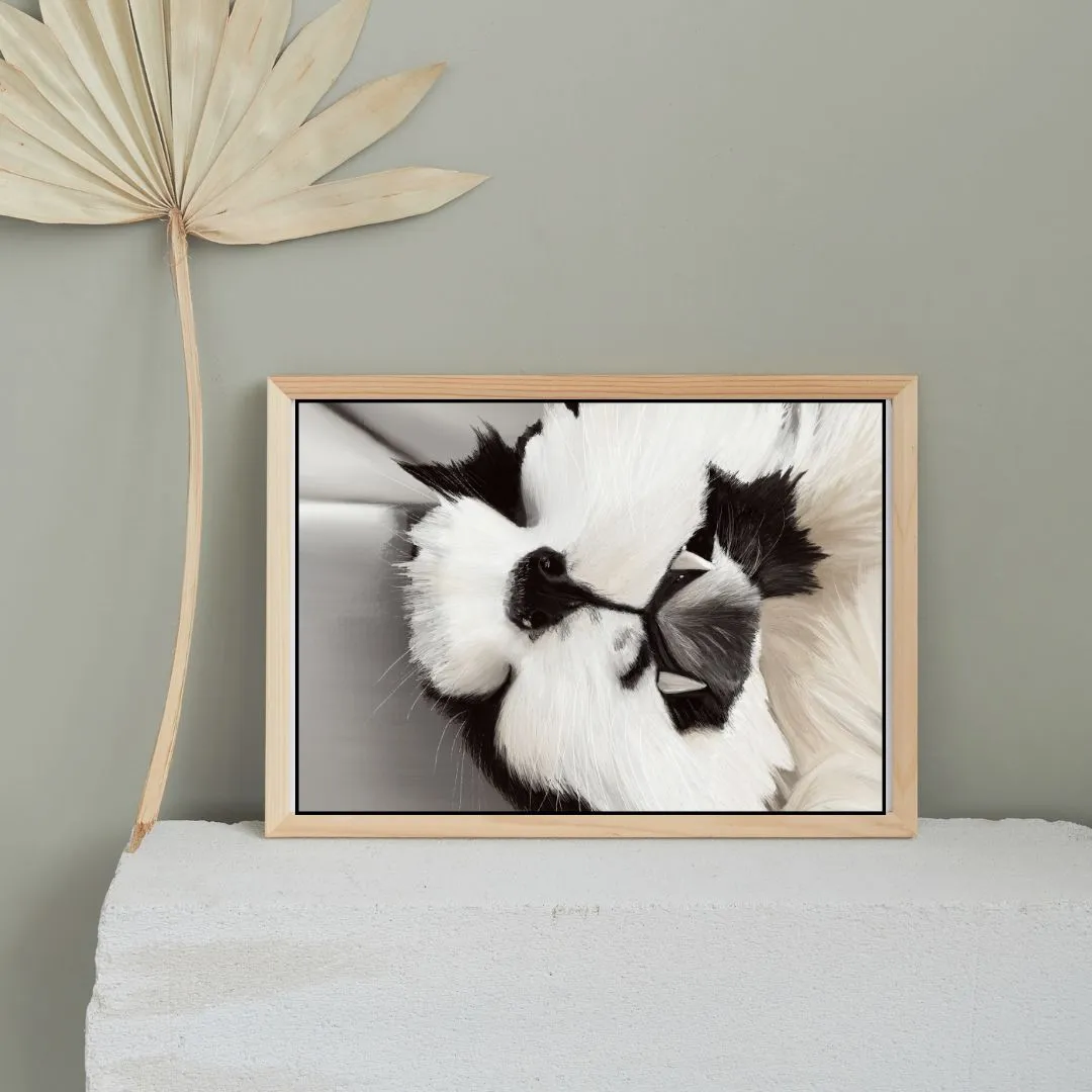 Product image for Pet portrait - black and white cats