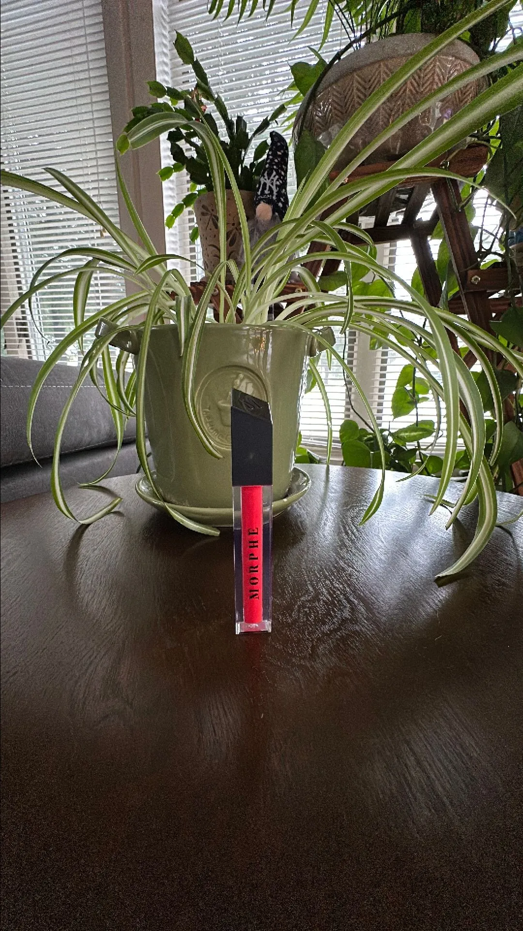 Product image for Morphe lip gloss shade- hotshot