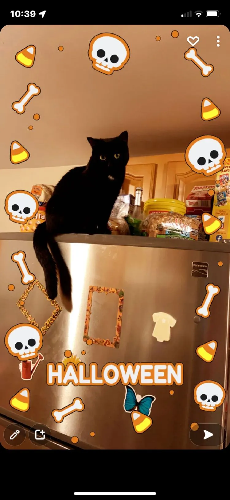 Product image for Buy Zoey a treat 😍🐈‍⬛❤️😻