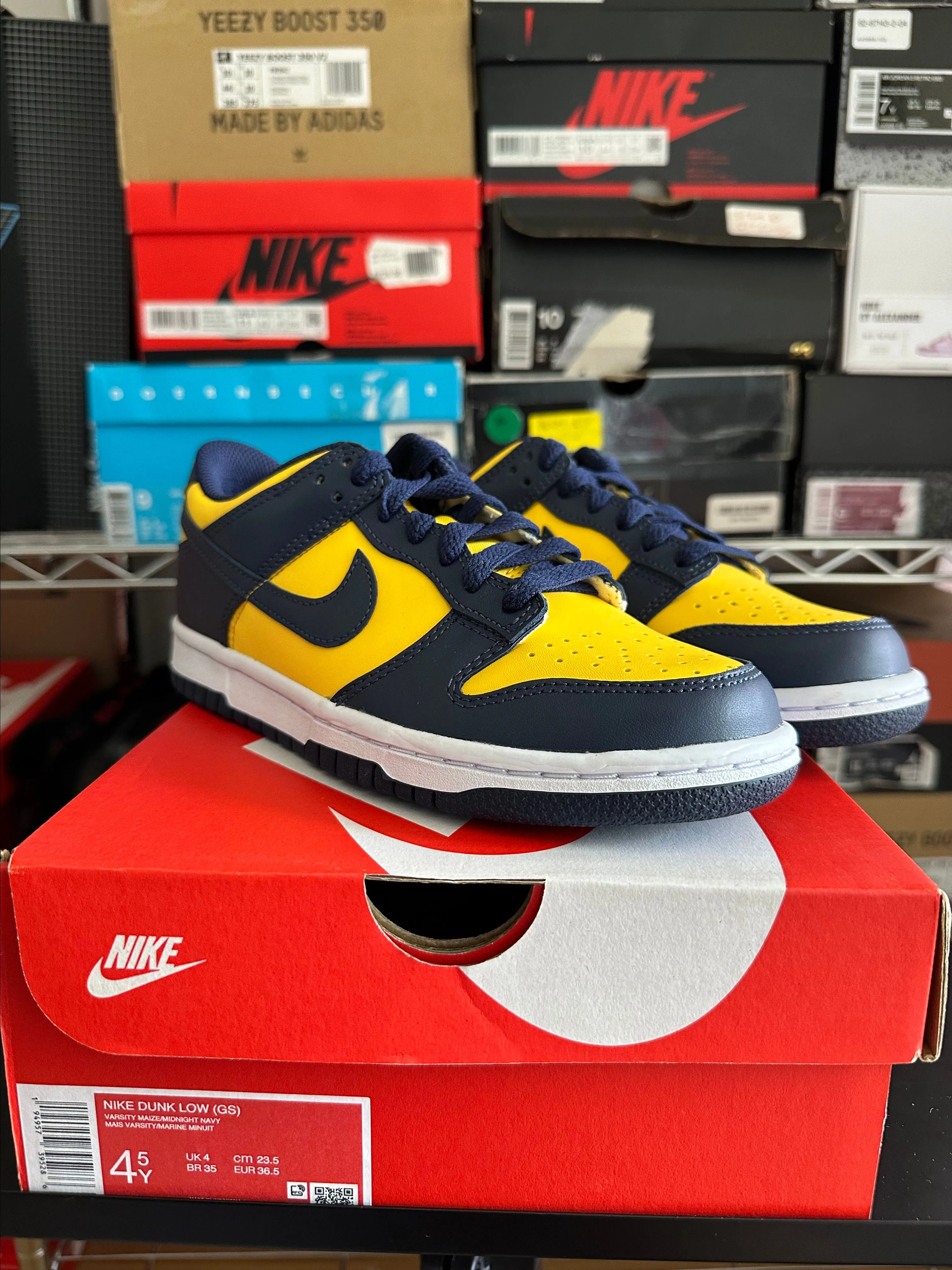 Product image for Dunk Michigan