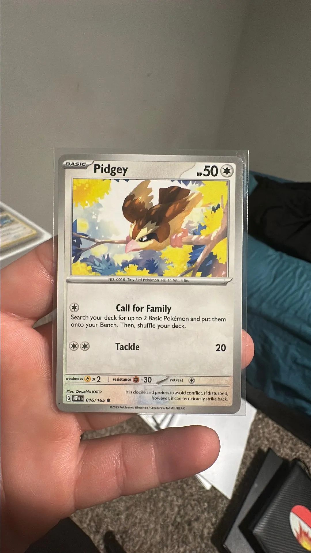 Product image for Pidgey (Scarlet and Violet 151)