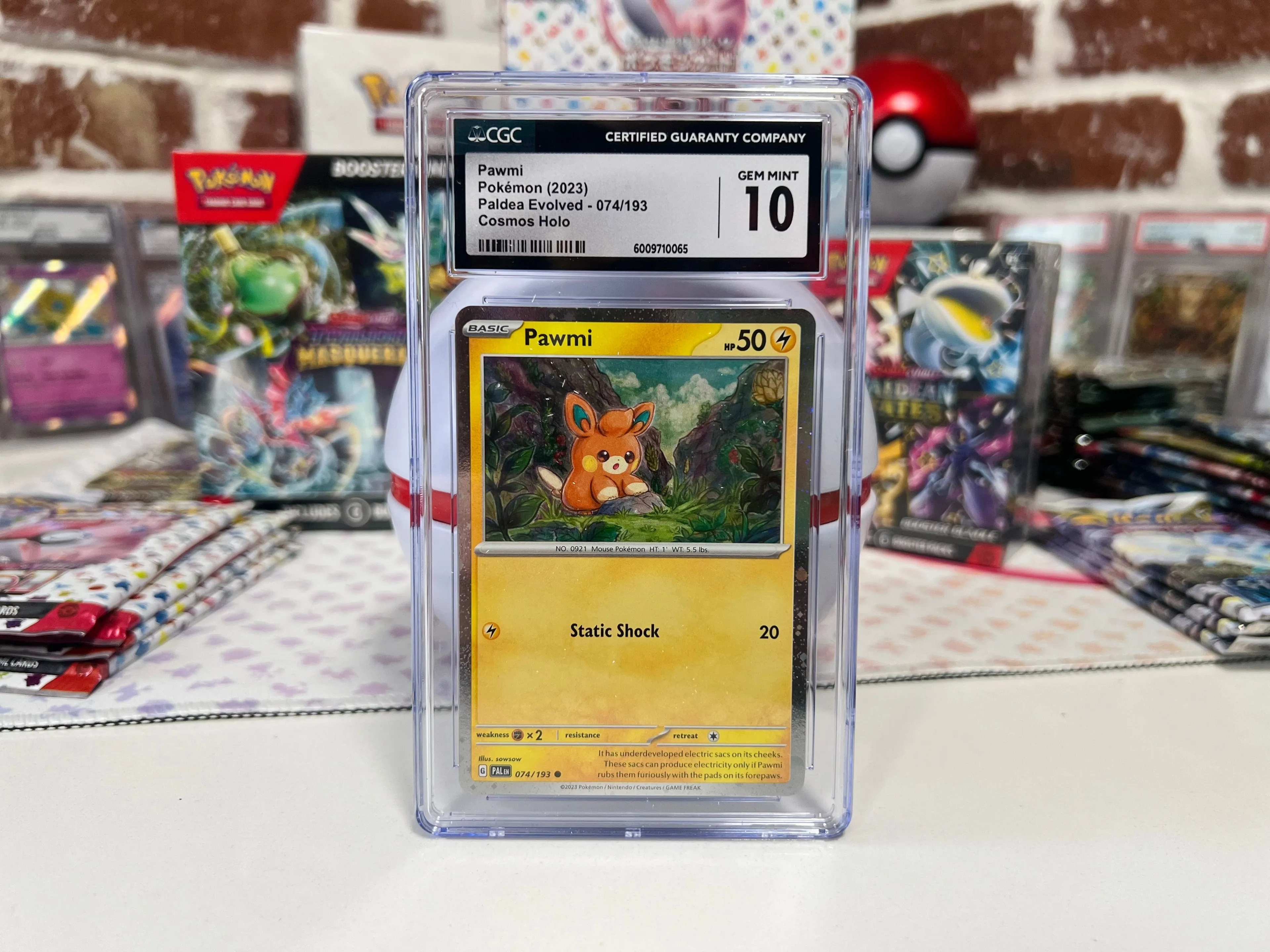 Product image for Pokémon Paldea Adventure Chest Pawmi 074/193 Cosmos Holo Mint 10 TCG