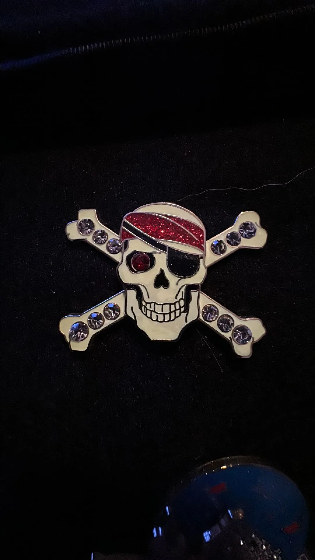 Product image for Pirates Of The Caribbean Skull Pin with crystals and ruby eye
