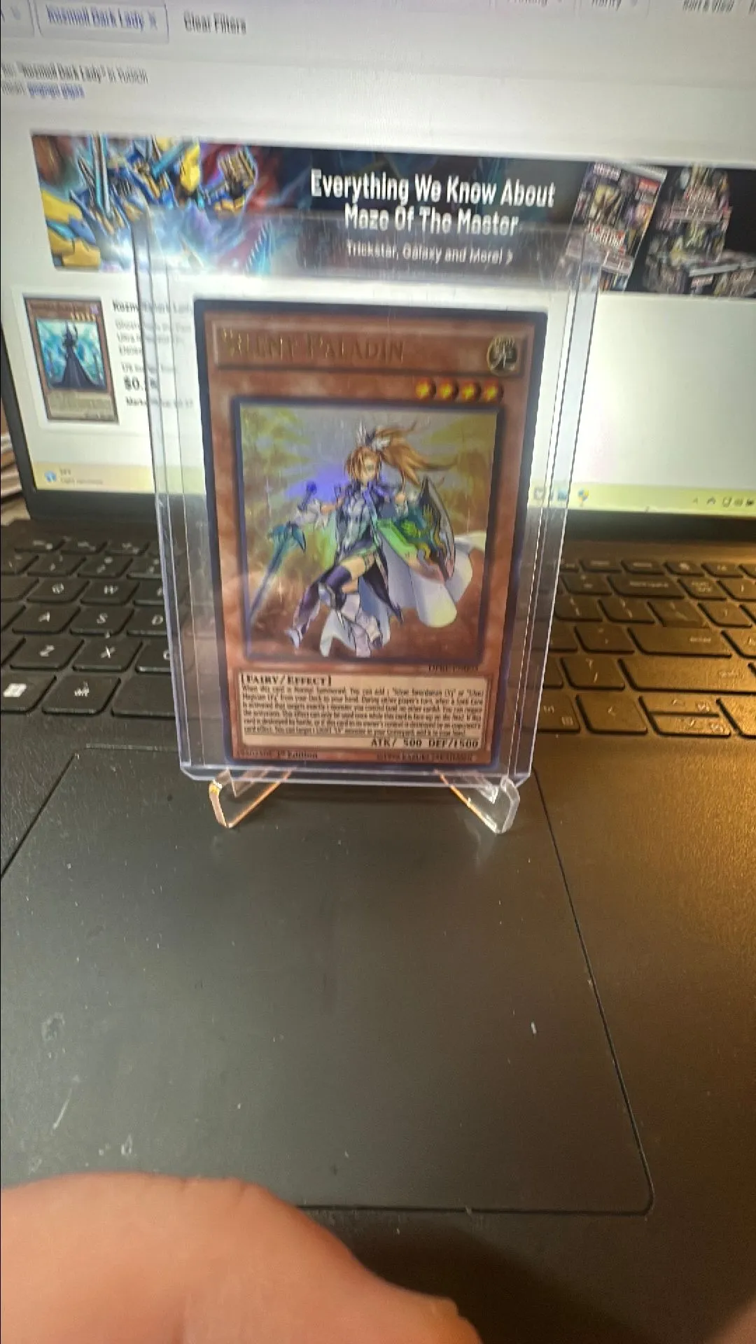 Product image for Silent paladin