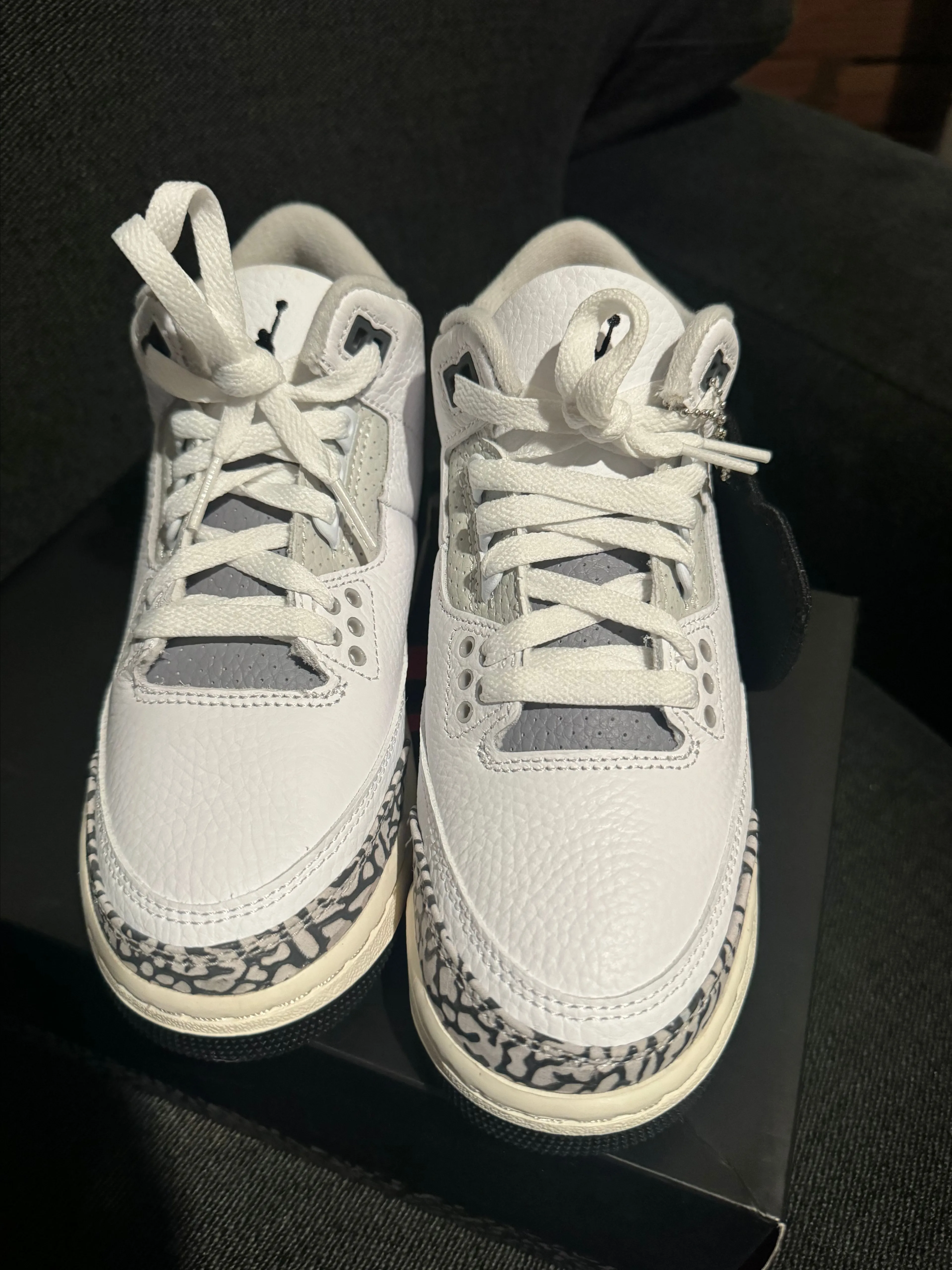 Product image for Jordan 3 hide N sneak