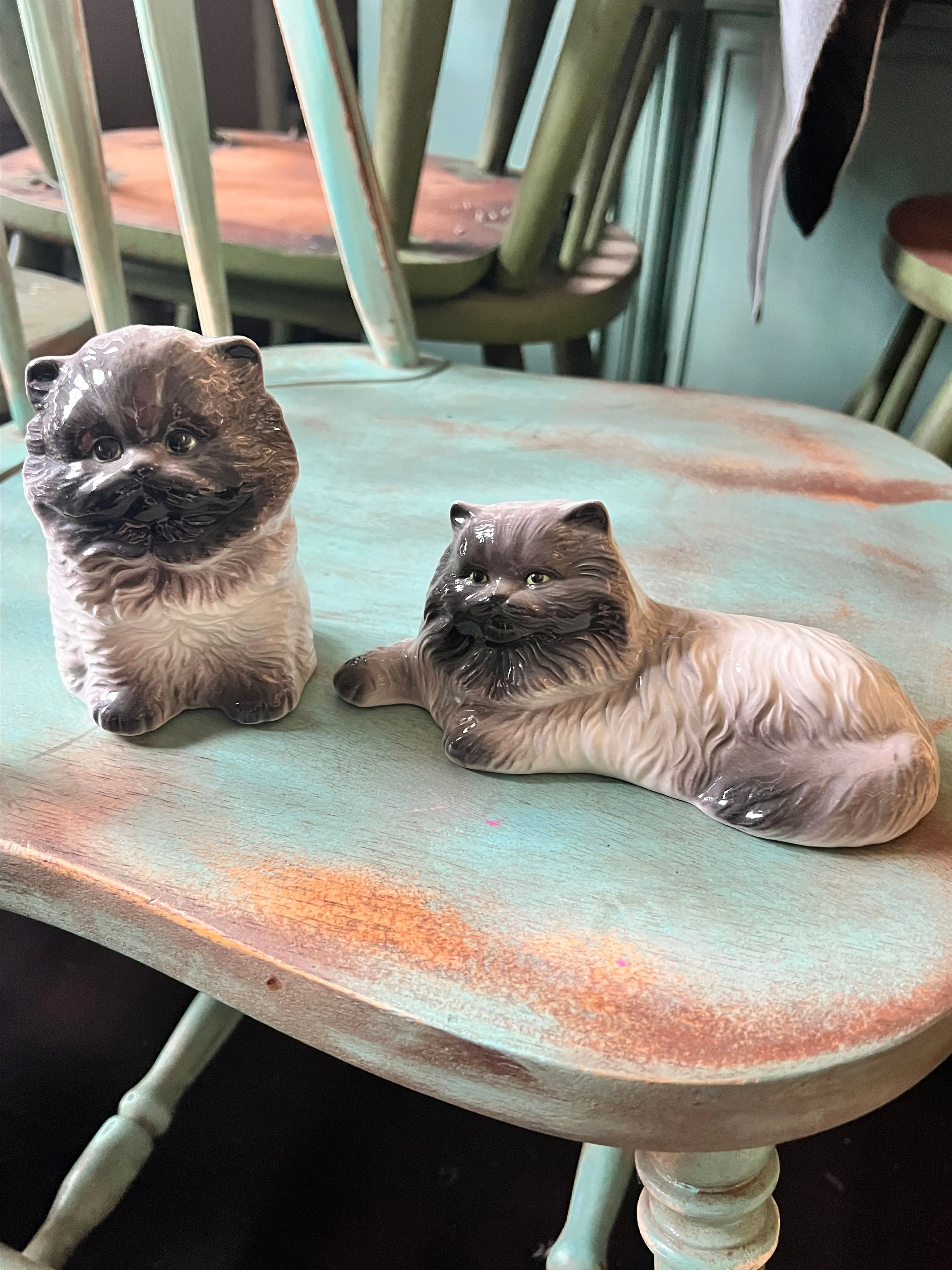 Product image for Pair of siamese cats,