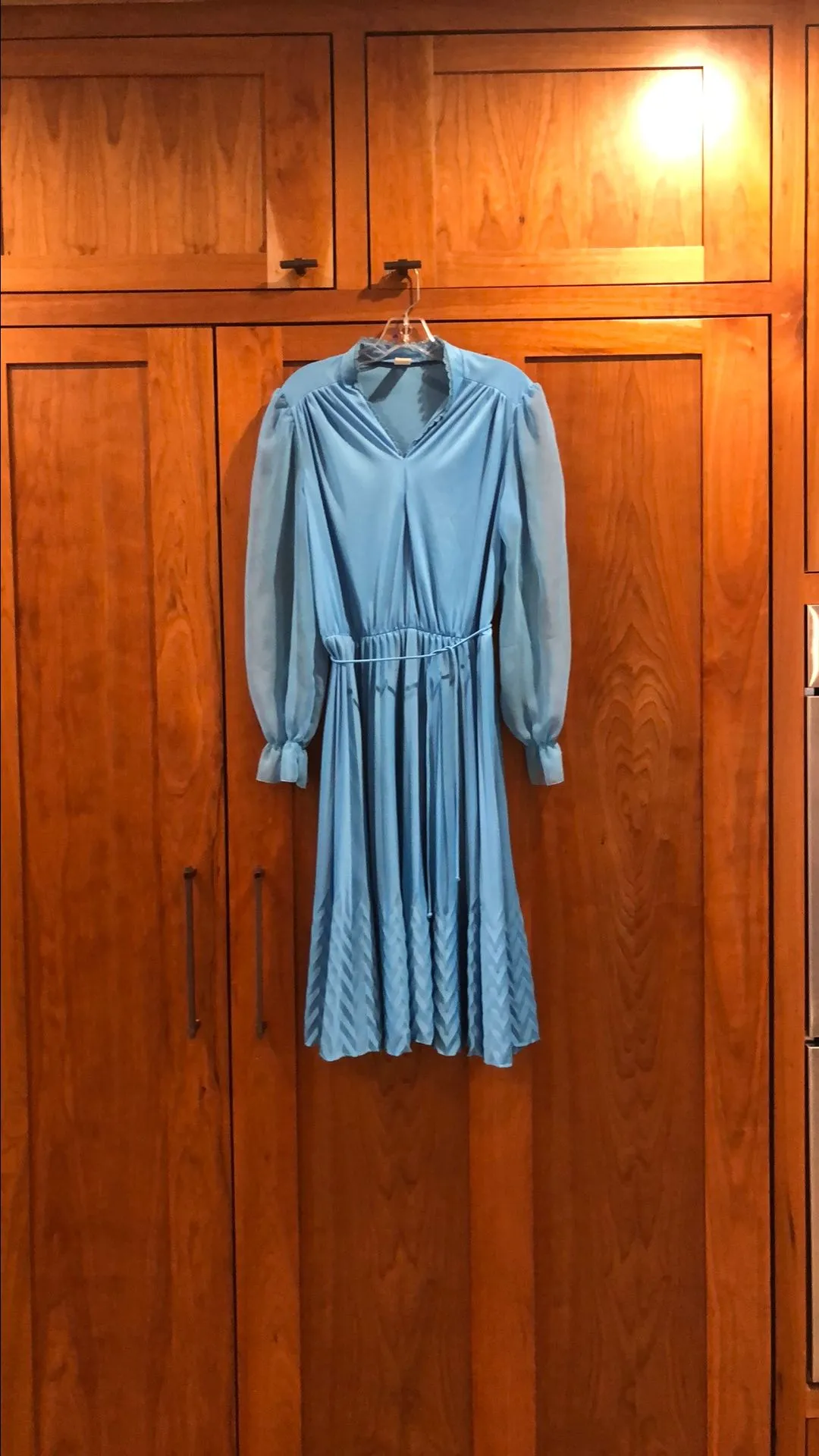 Product image for 59. Blue, sheer sleeved dress chest 22 waist 14 to 18 length 44