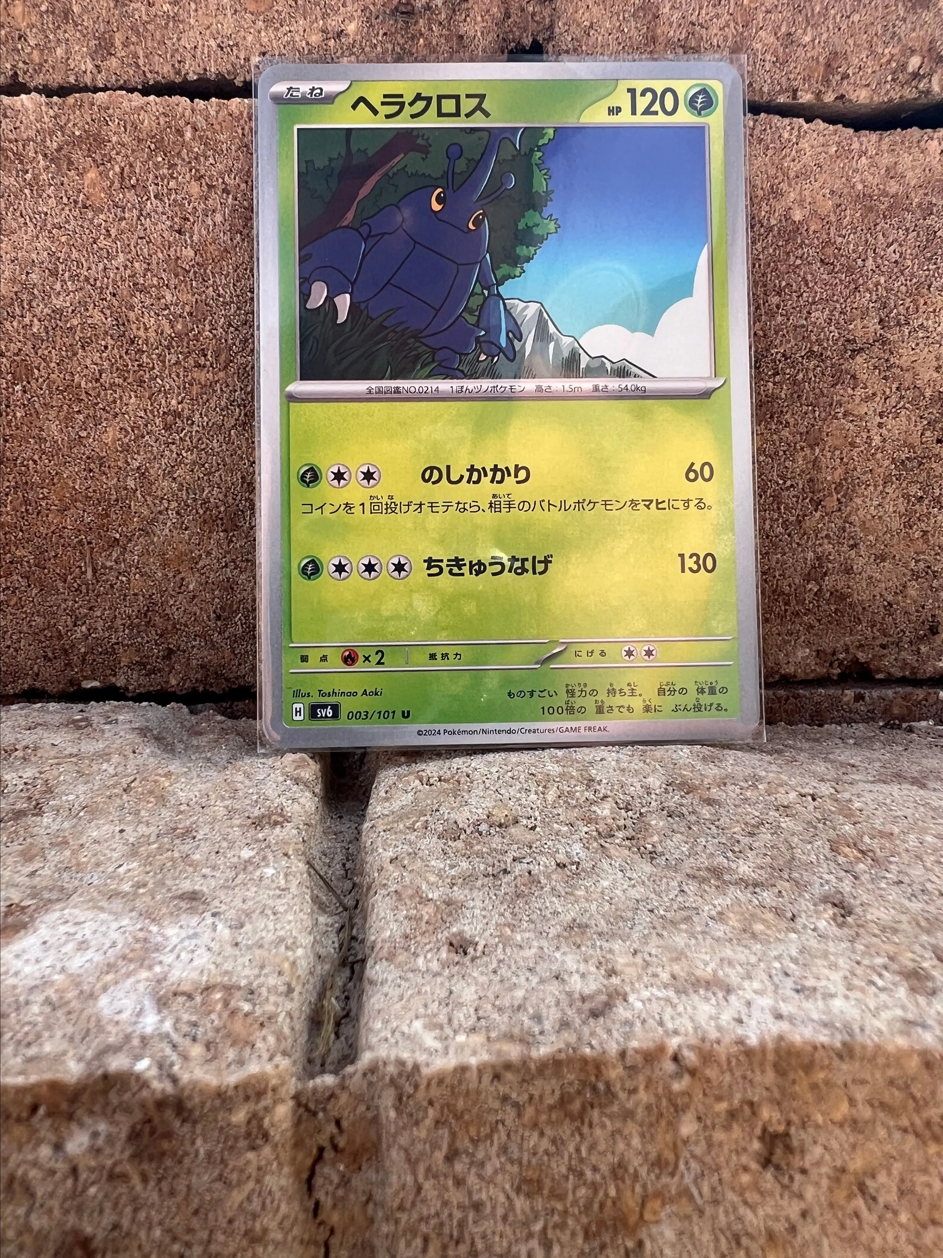 Product image for Heracross