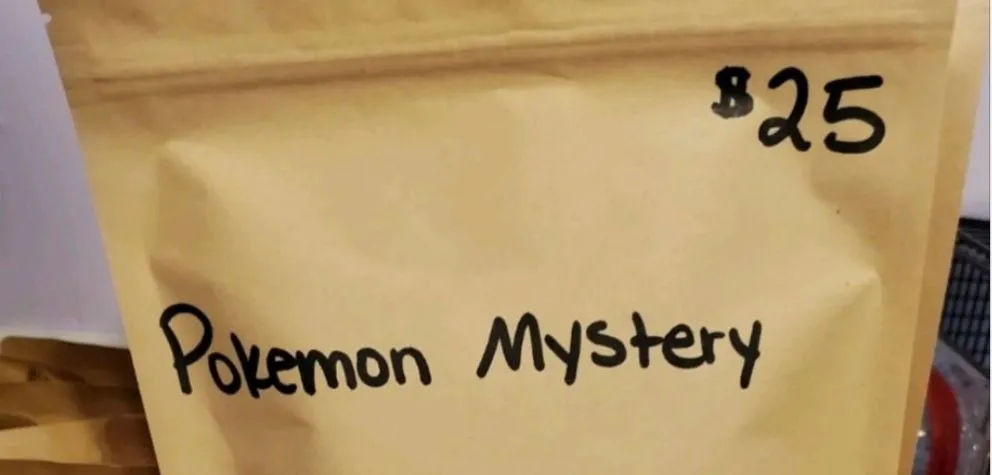 Product image for Mystery Bags
