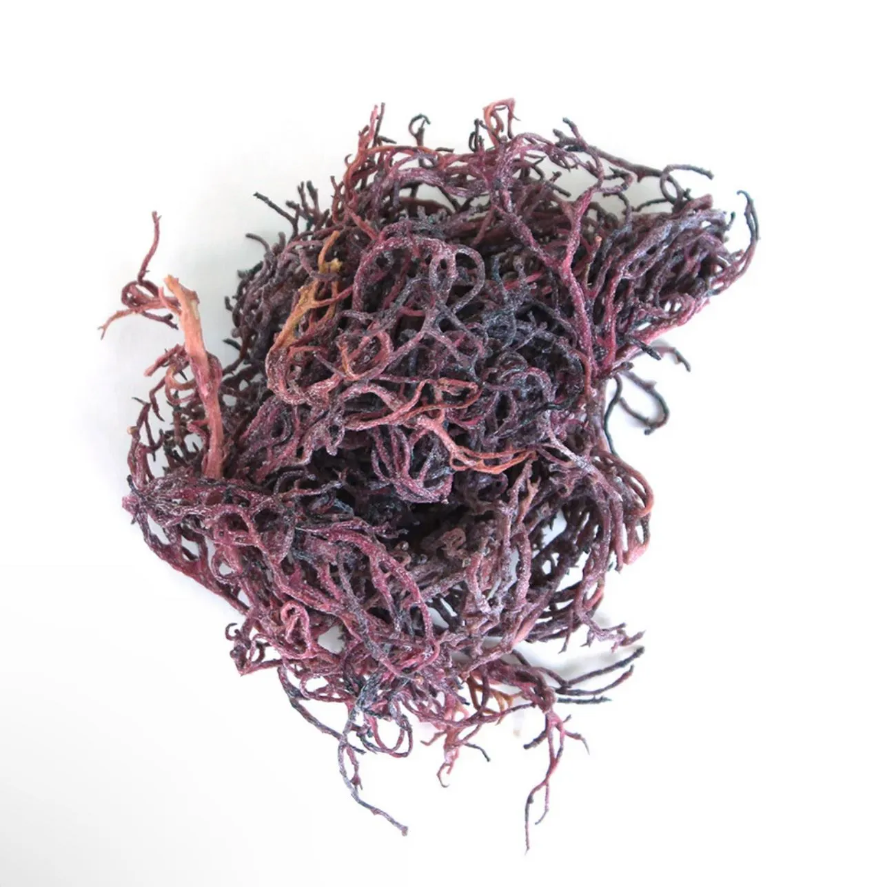 Product image for Purple Sea Moss