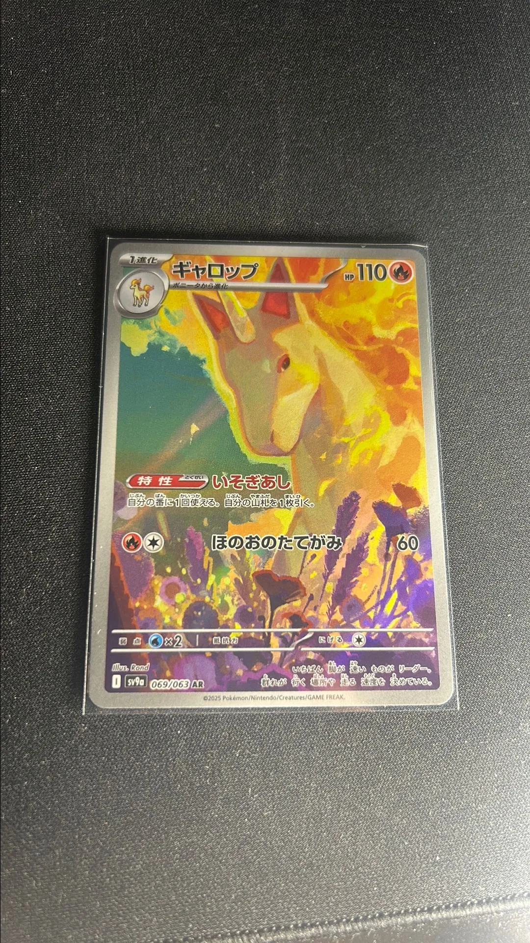 Product image for 70. Gallopa (sv9a 069)