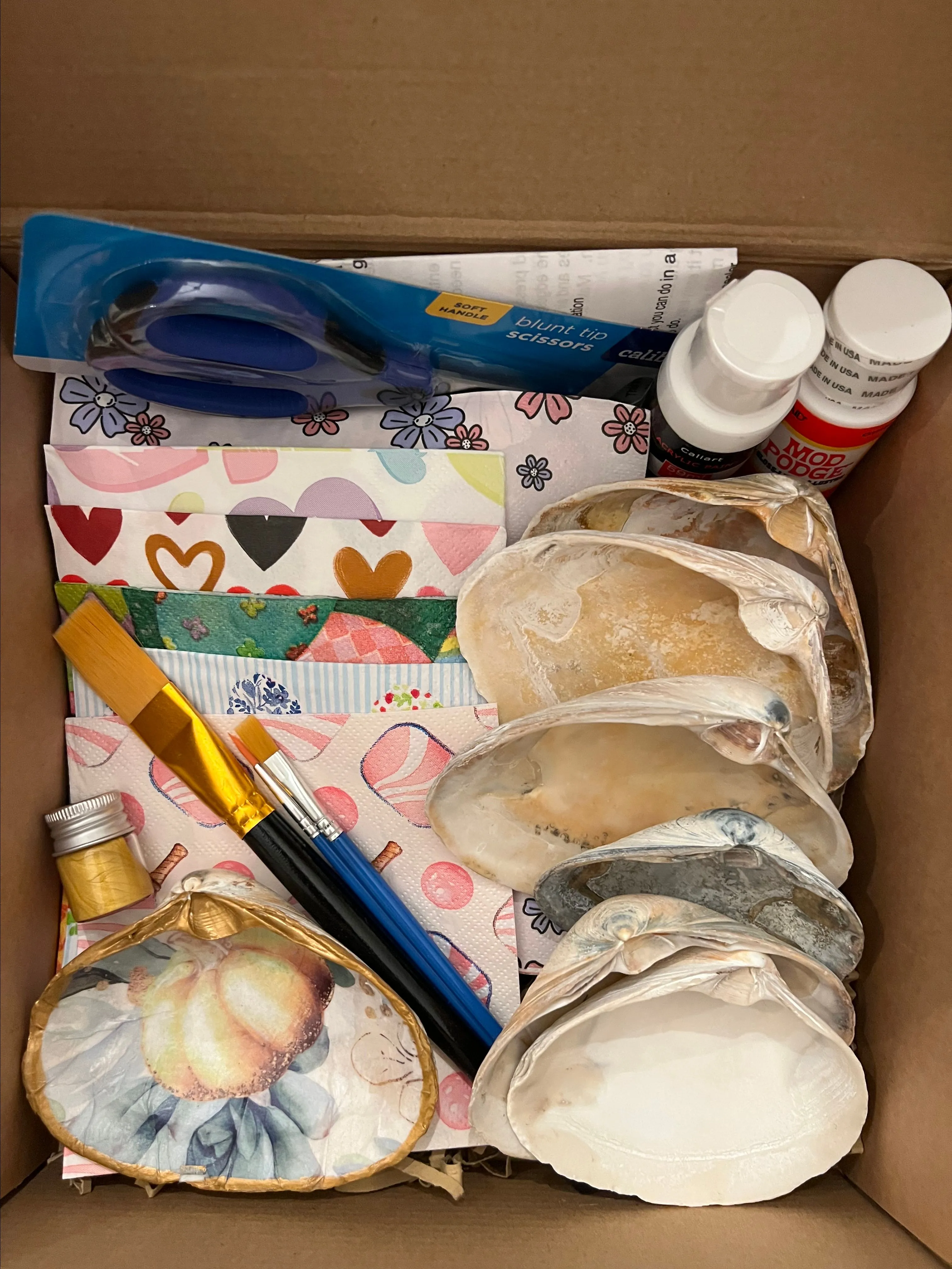 Product image for DIY Decoupage Shell Kit
