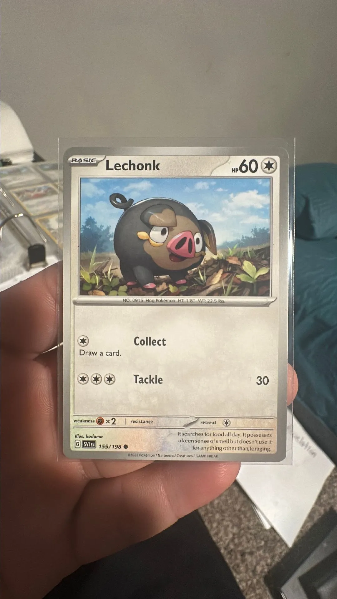 Product image for Lechonk (Scarlet and Violet)