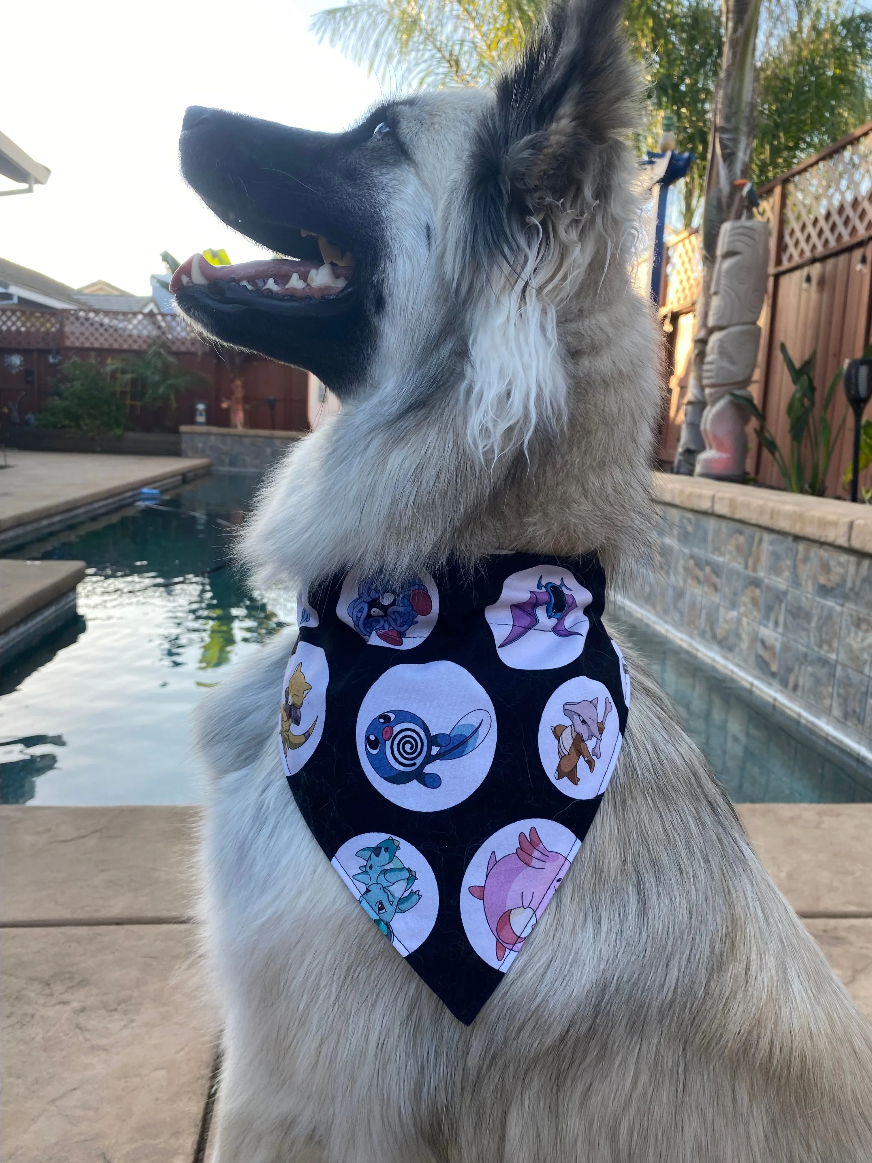 Product image for Monster Pet Bandanas - Large
