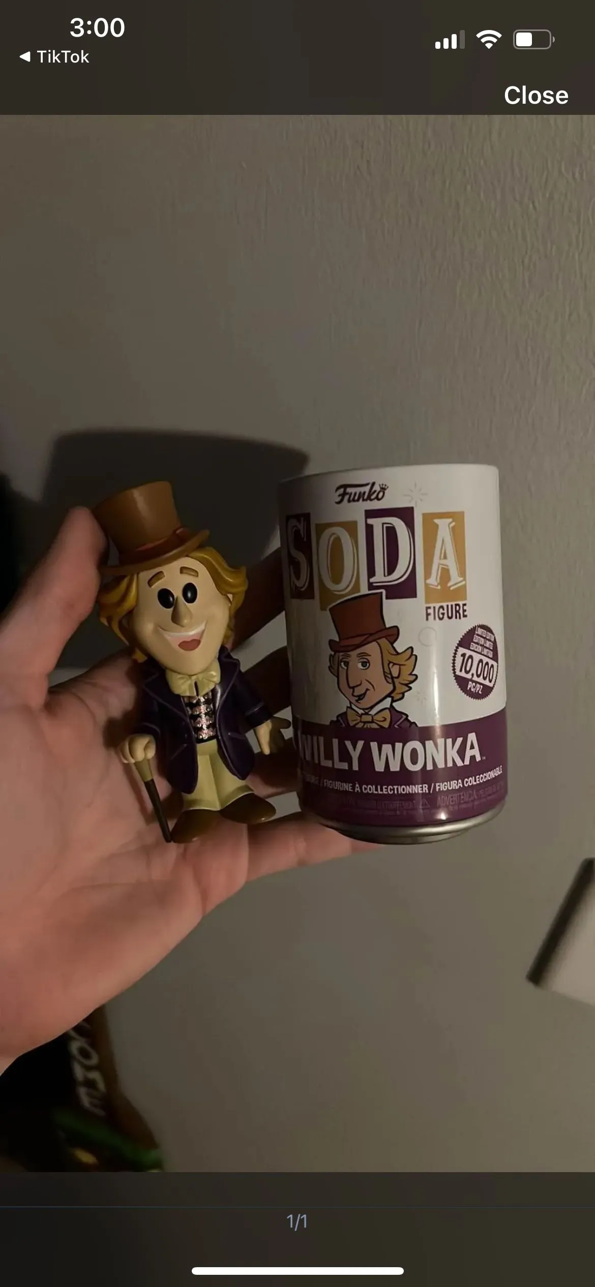 Product image for Willy Wonka Common