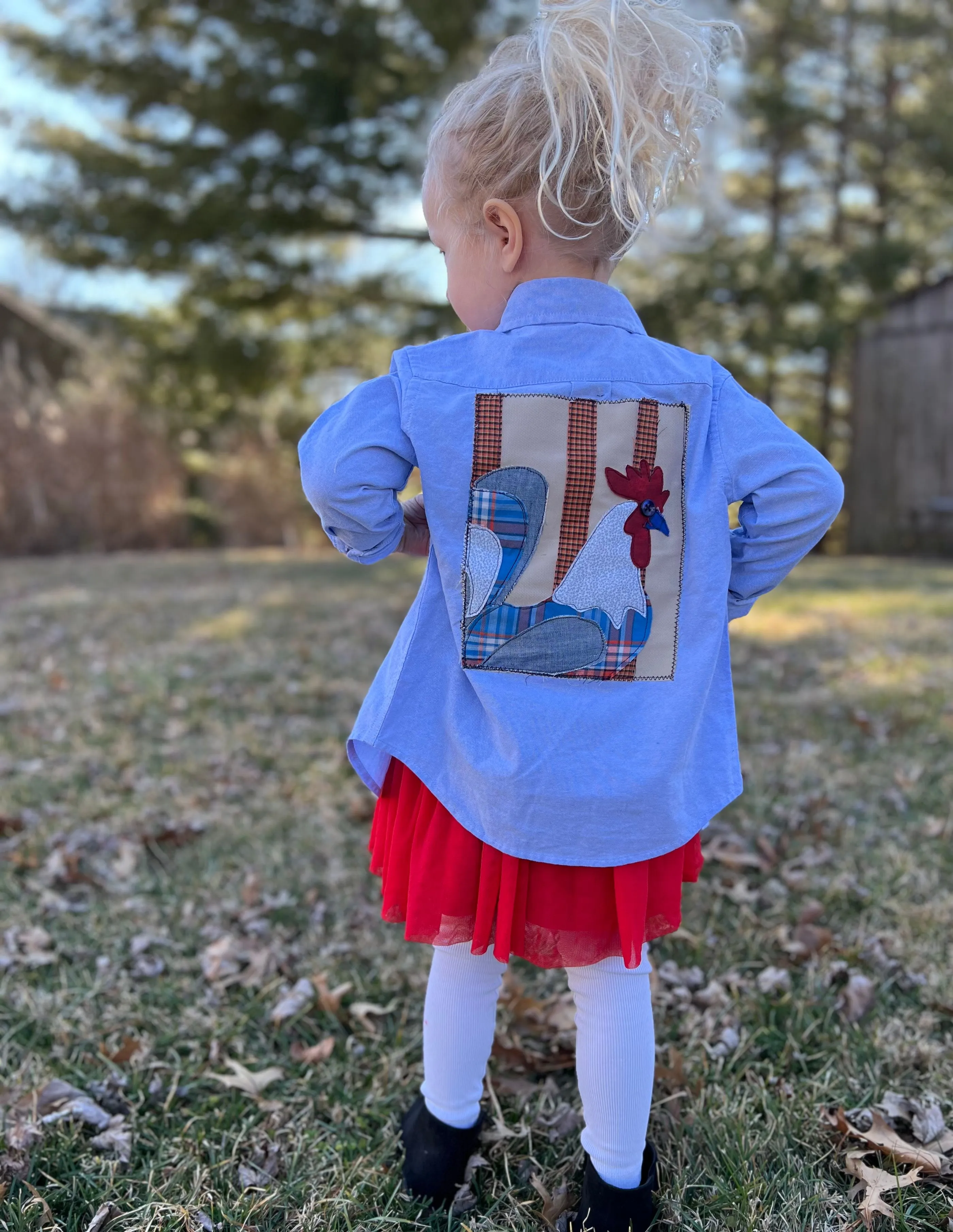 Product image for Rooster Appliqué Rework