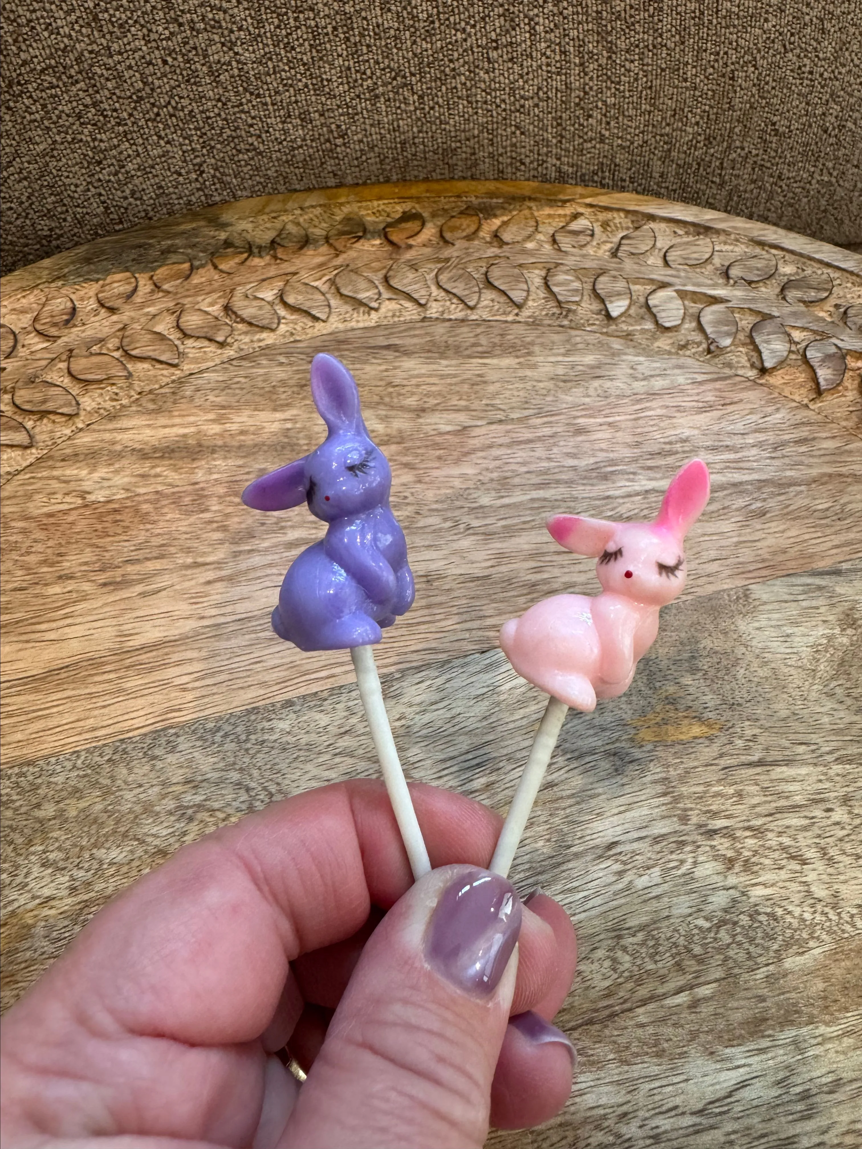 Product image for Bunny Pics