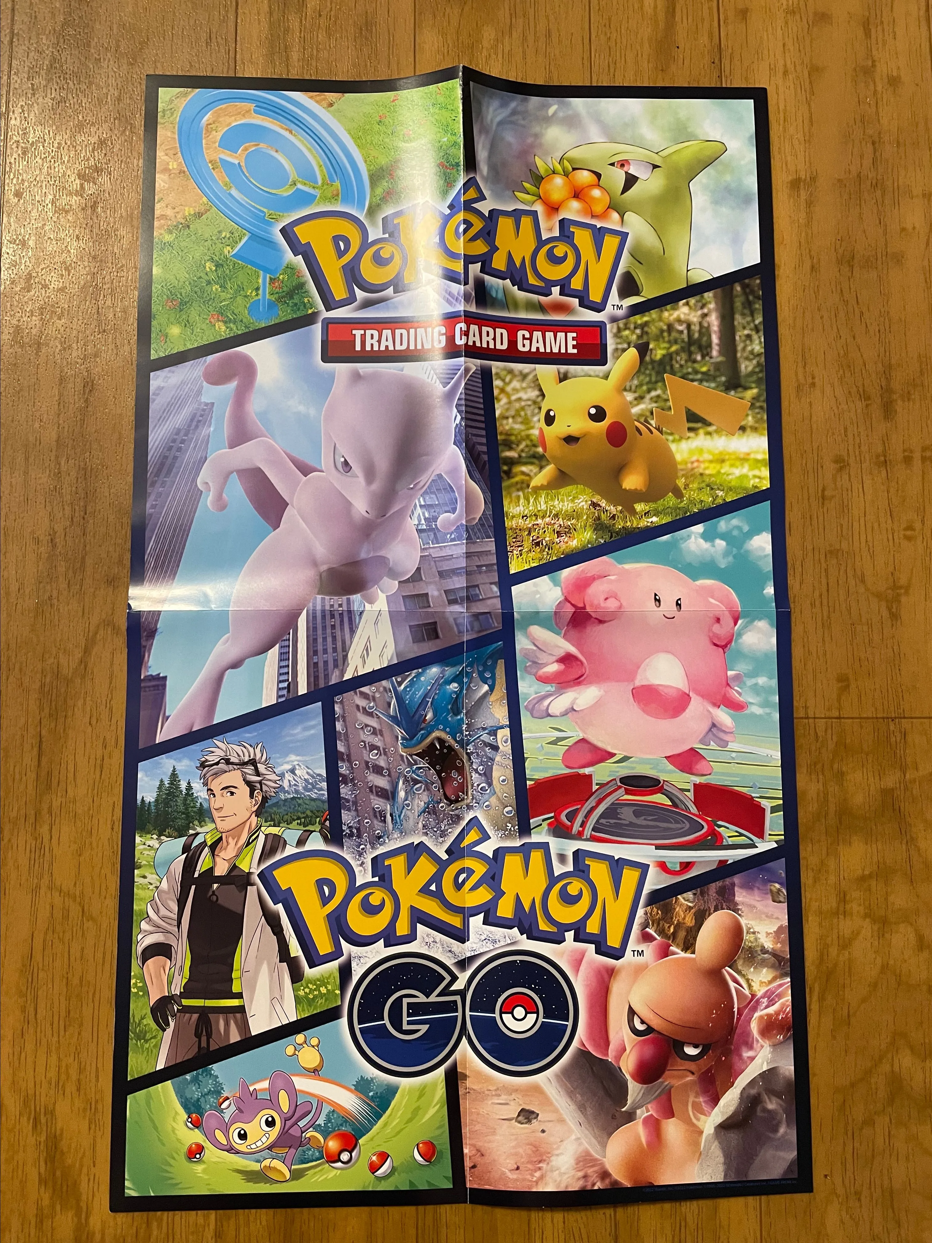 Product image for Pokémon Go Poster