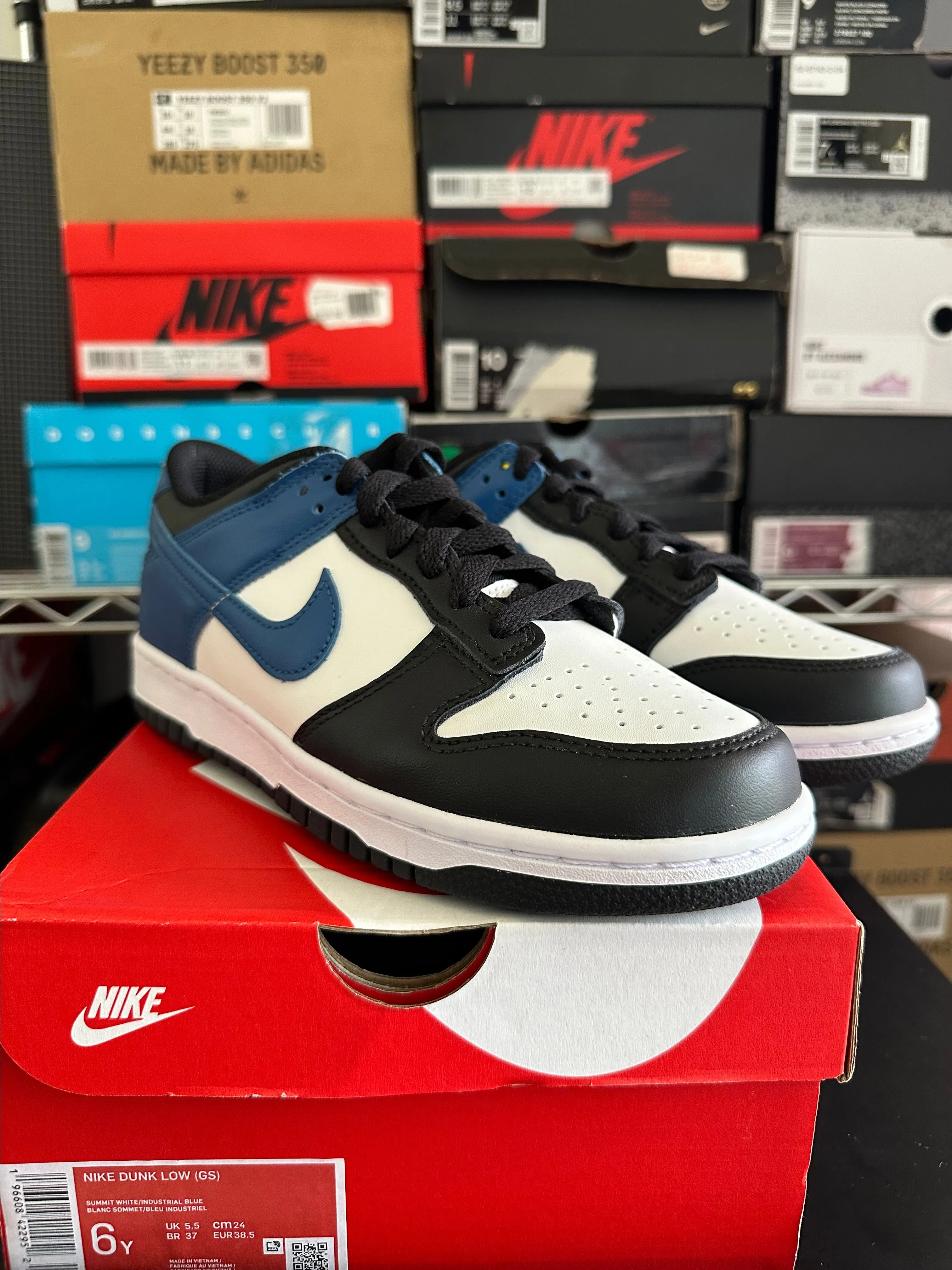 Product image for Dunk industrial blue