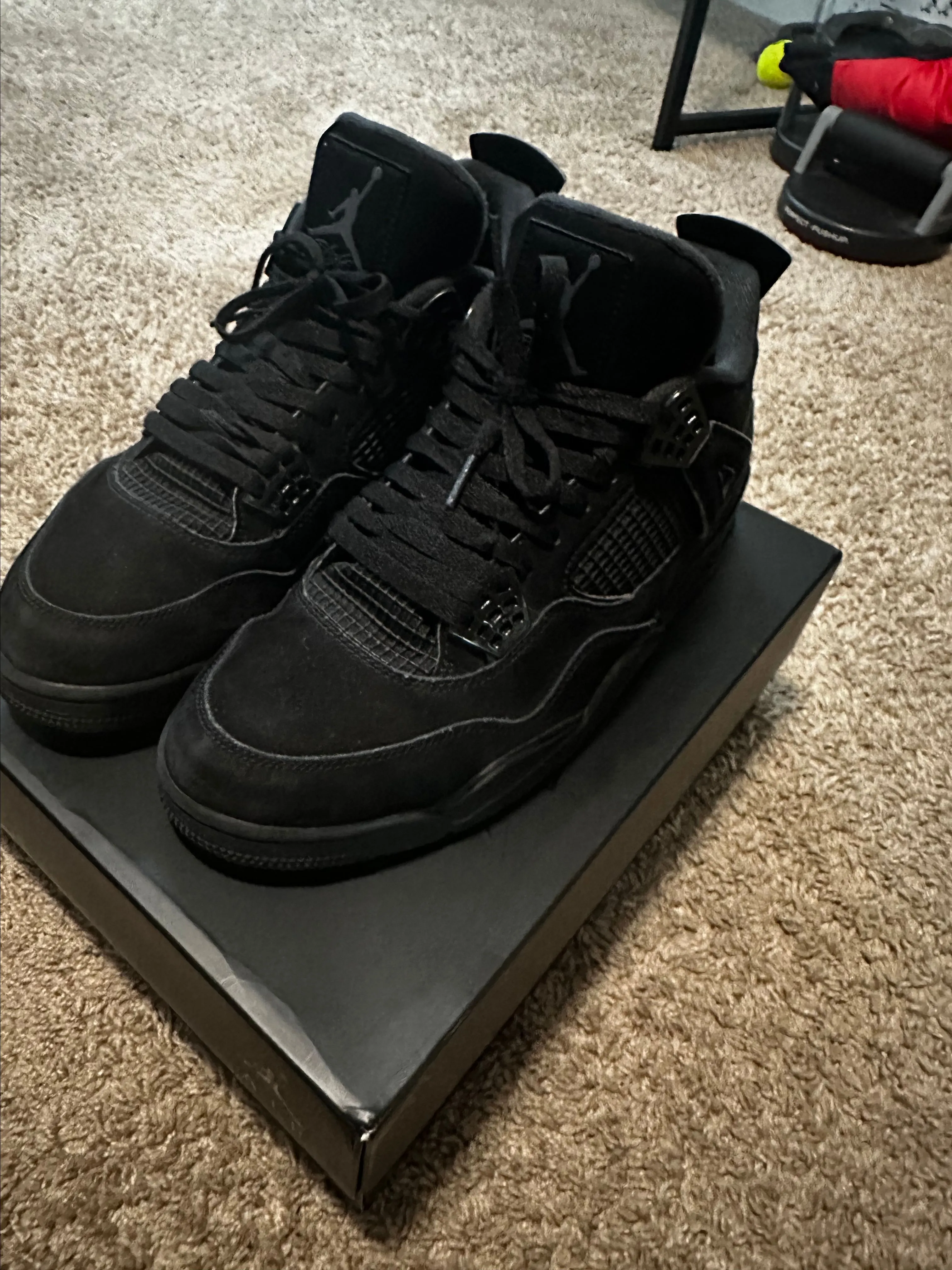 jordan black cat box