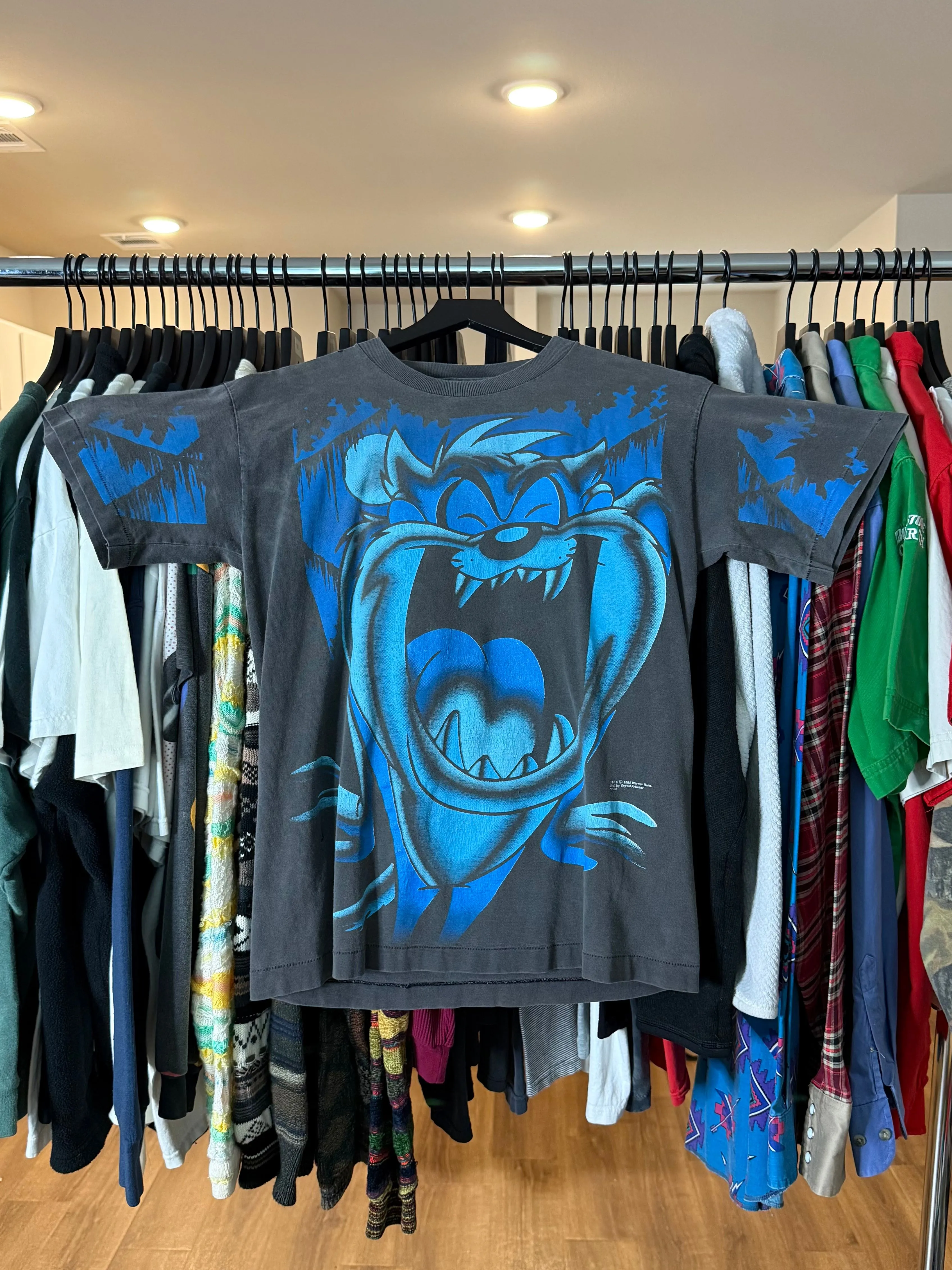 Product image for Taz Crazy 90's AOP Shirt - M