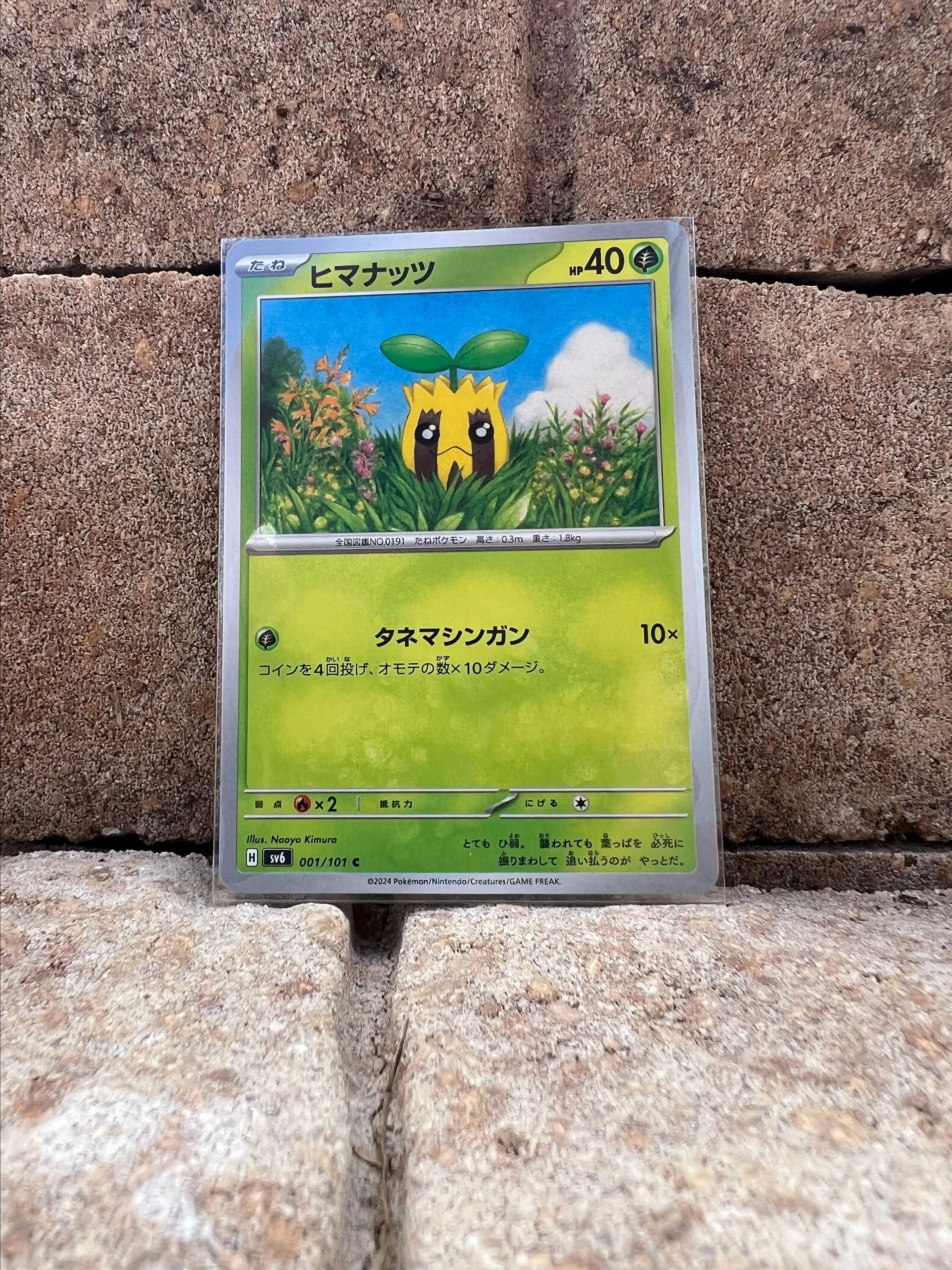 Product image for Sunkern