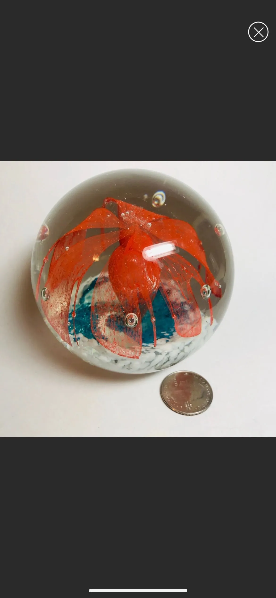 Product image for Orange Flower & Turquoise Round Paperweight