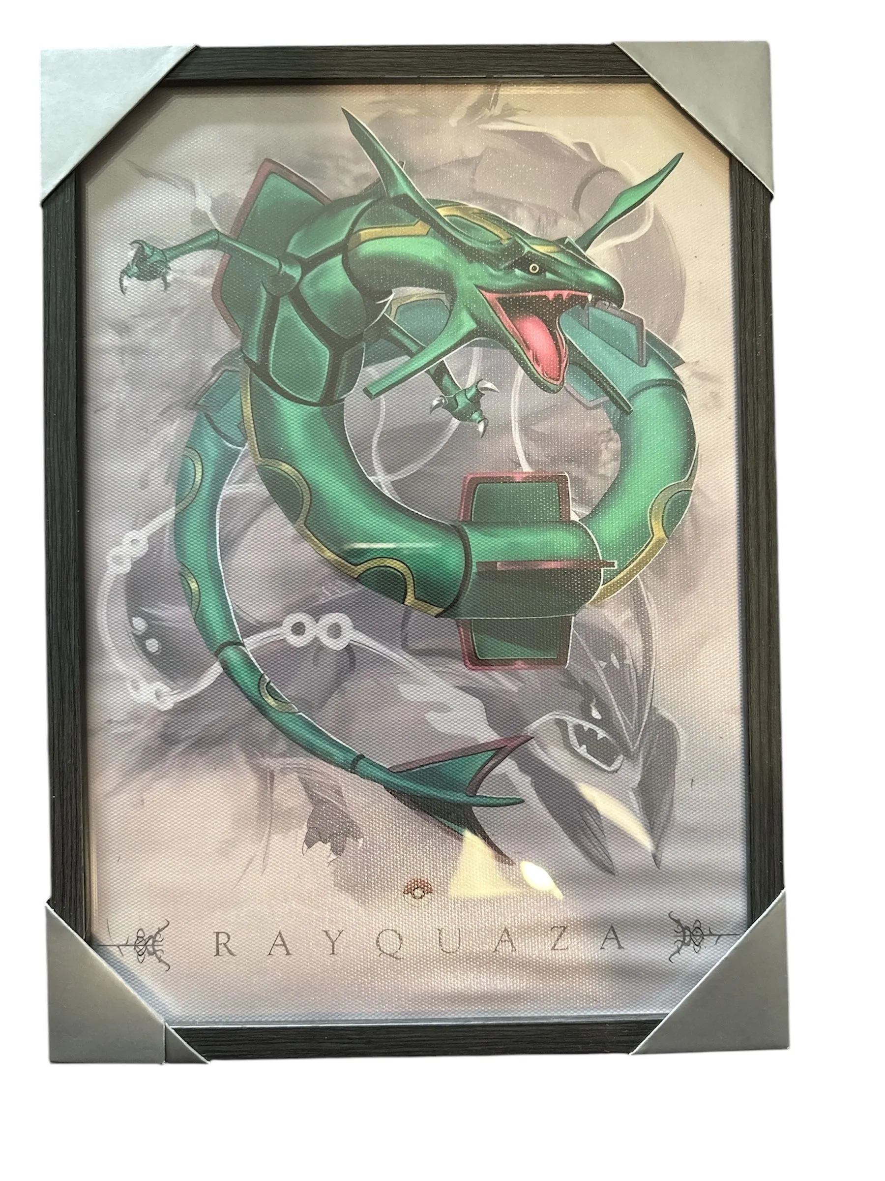 Product image for Cadre Rayqauza 21x29,7