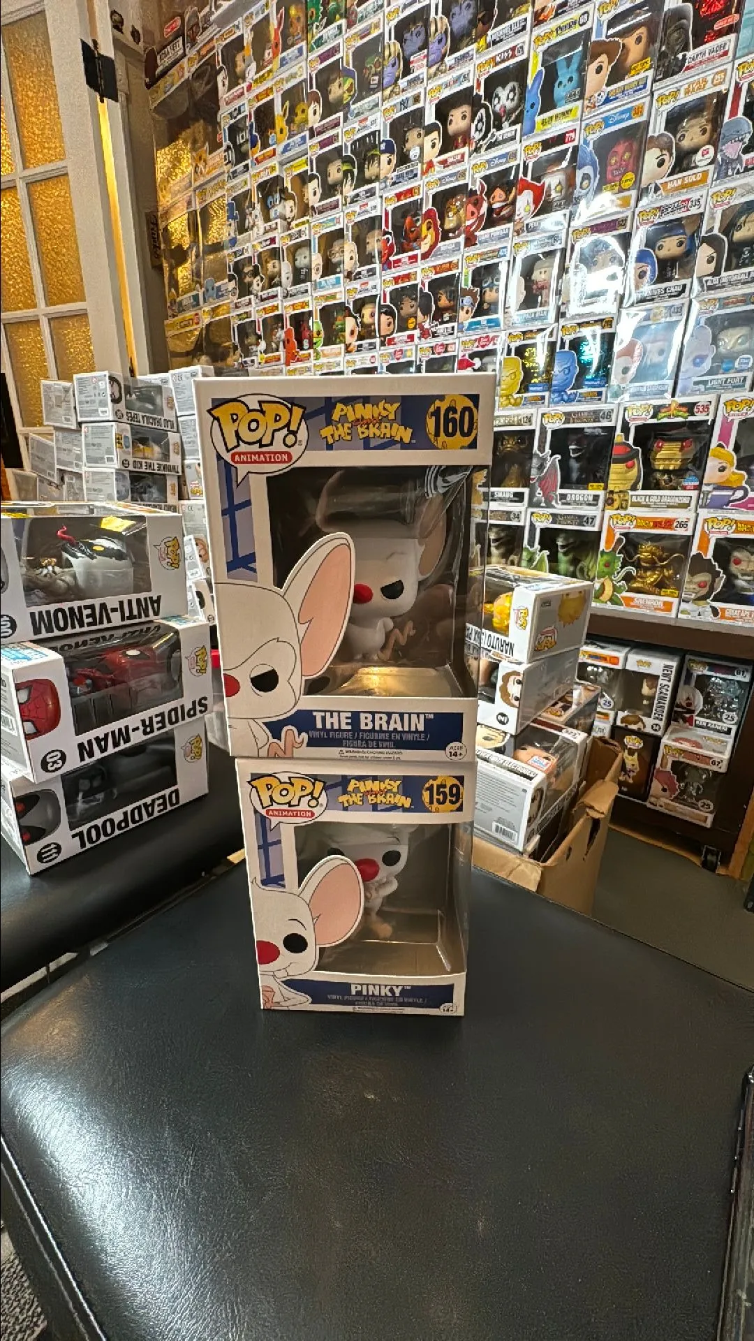 Product image for Pinky and Brain