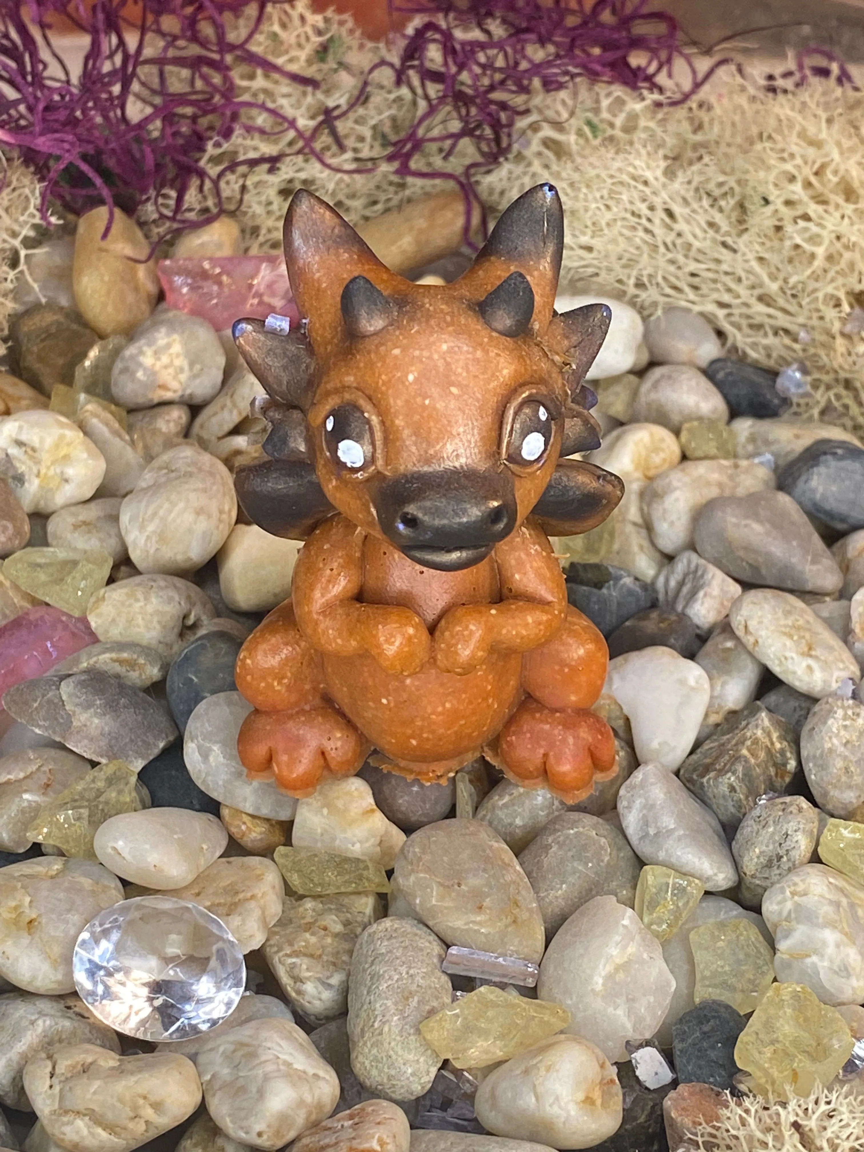 Product image for Fairy Dragon