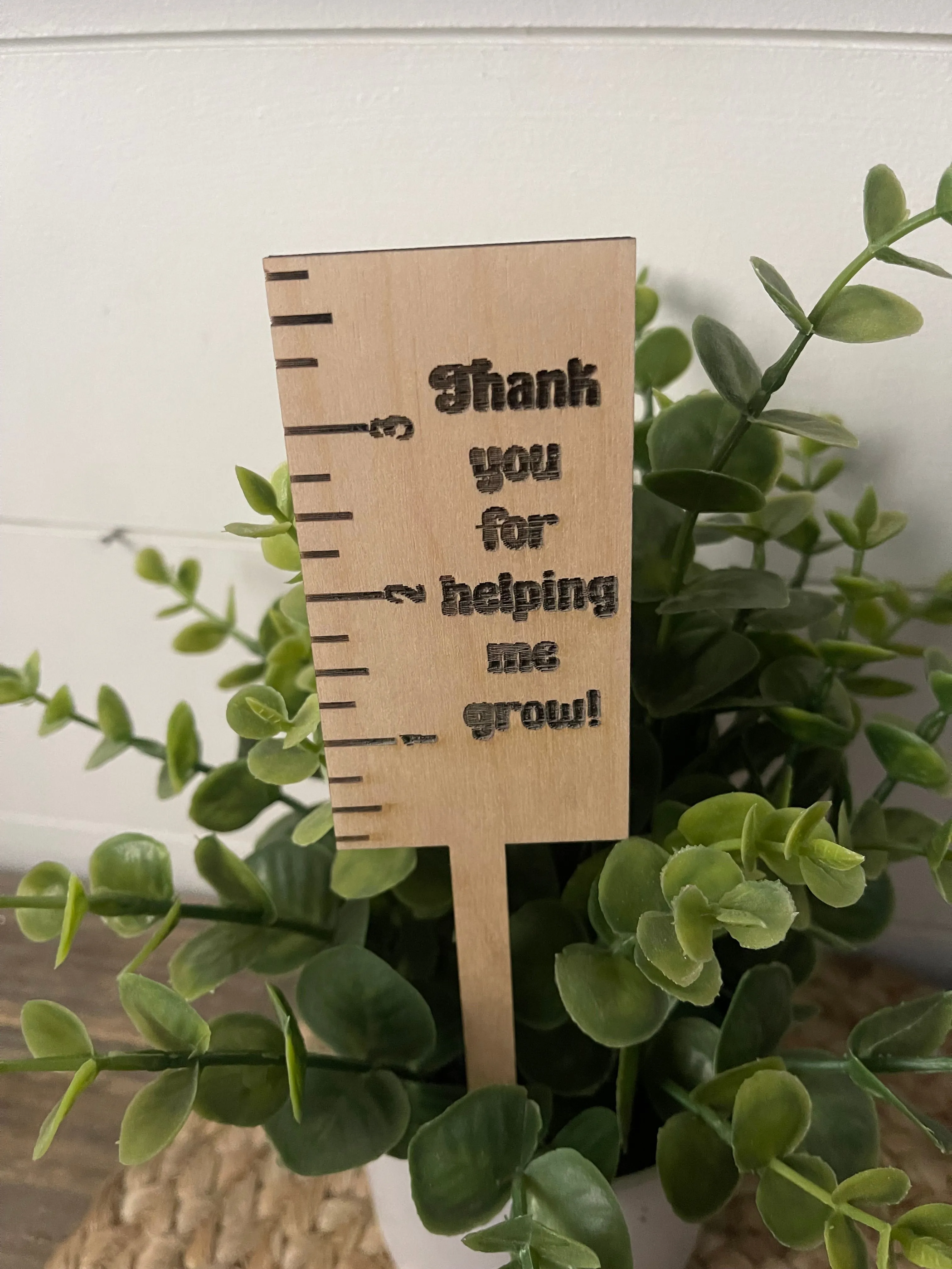 Product image for Thank you for helping me grow plant stake