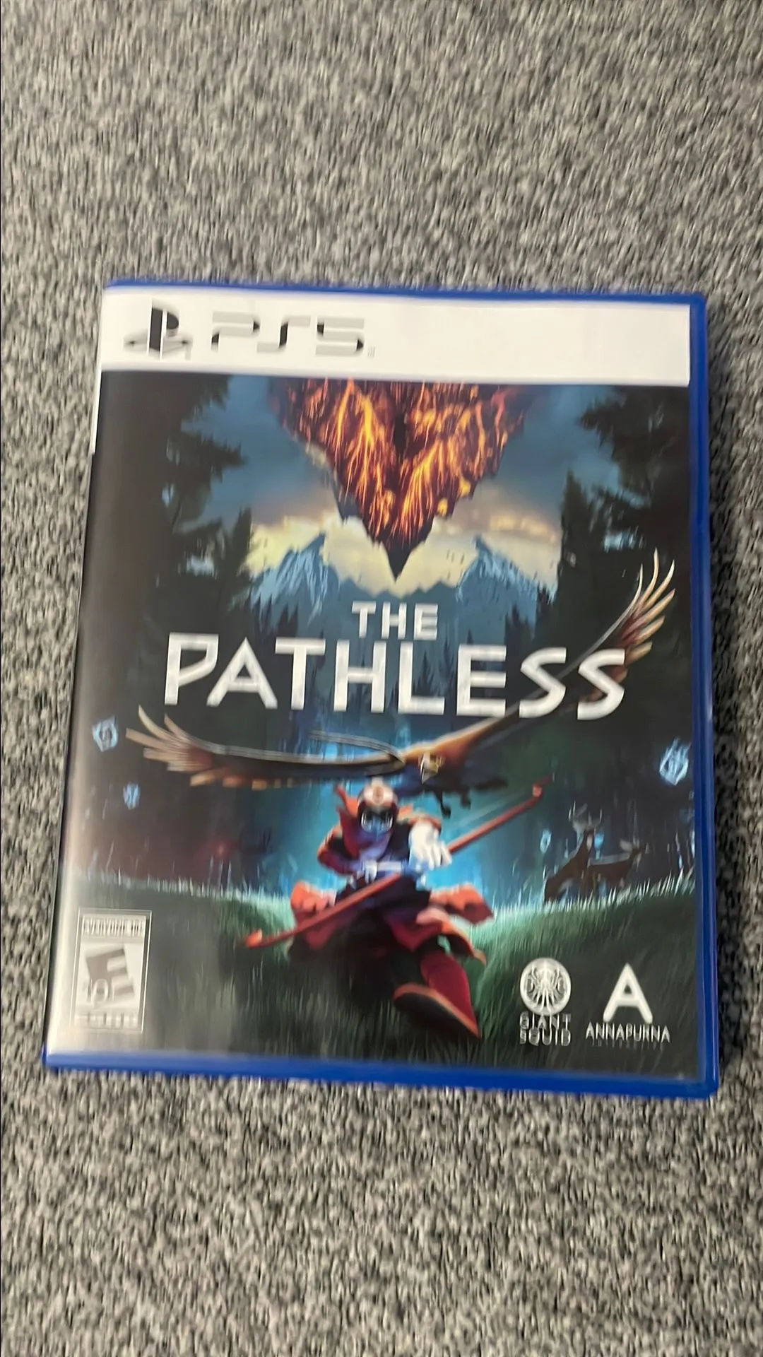Product image for PlayStation 5 (PS5): The Pathless