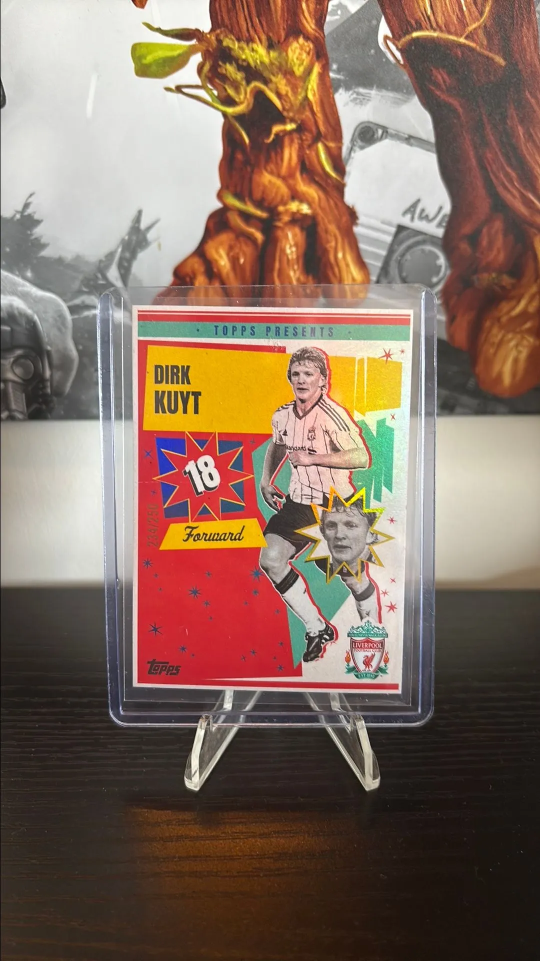 Product image for Dirk Kuyt /250