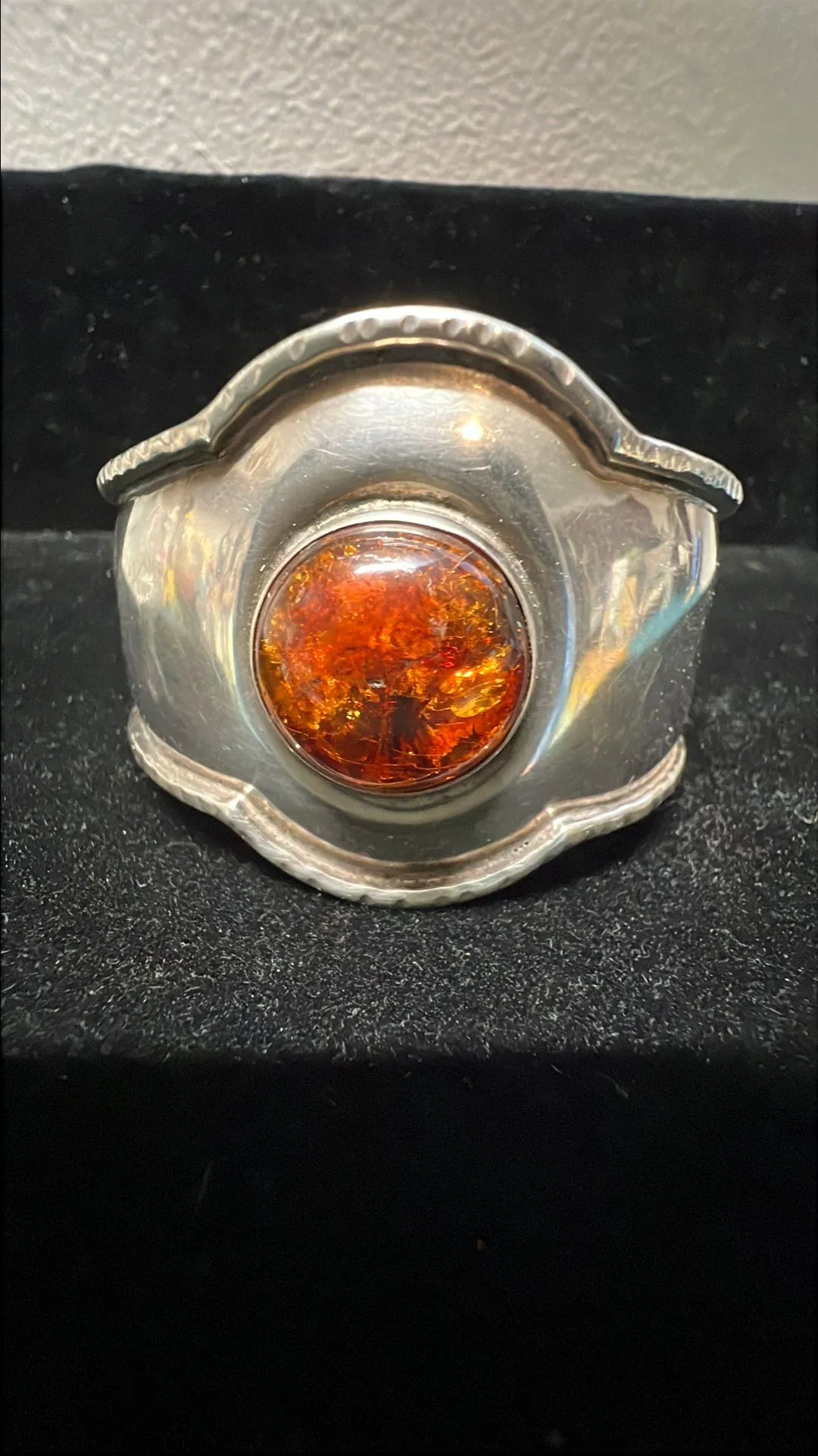 Product image for B. Pollucci