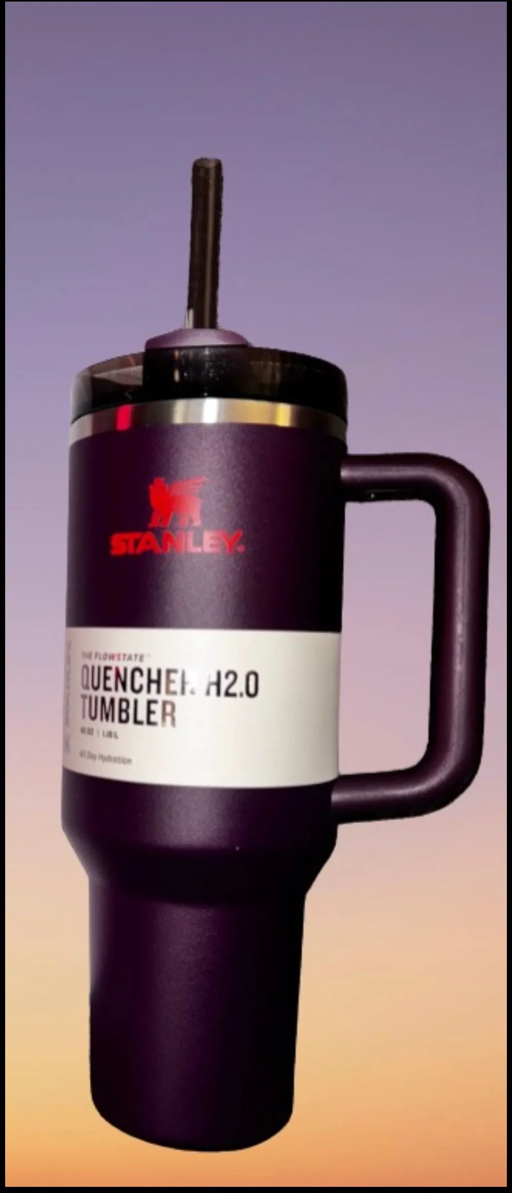 Product image for 40 oz Plum Stanley