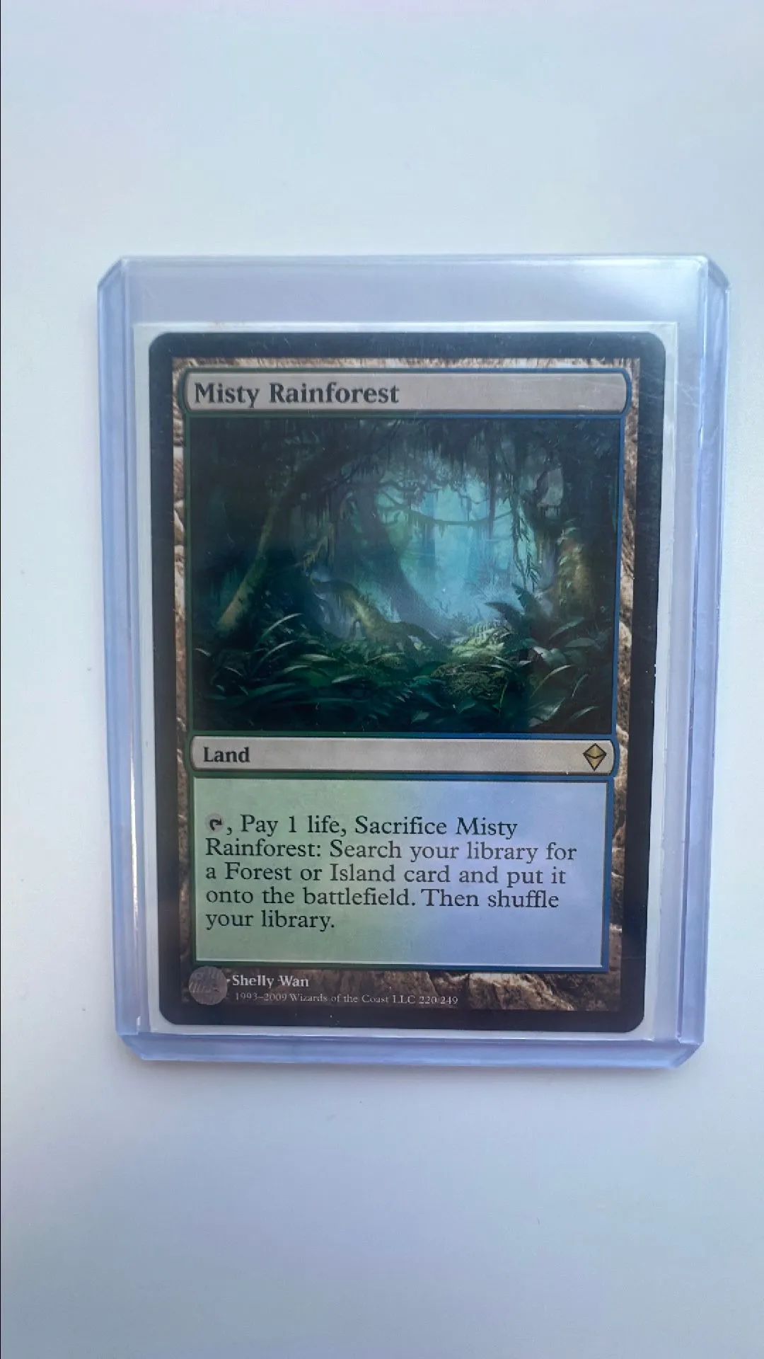Product image for Misty Rainforest