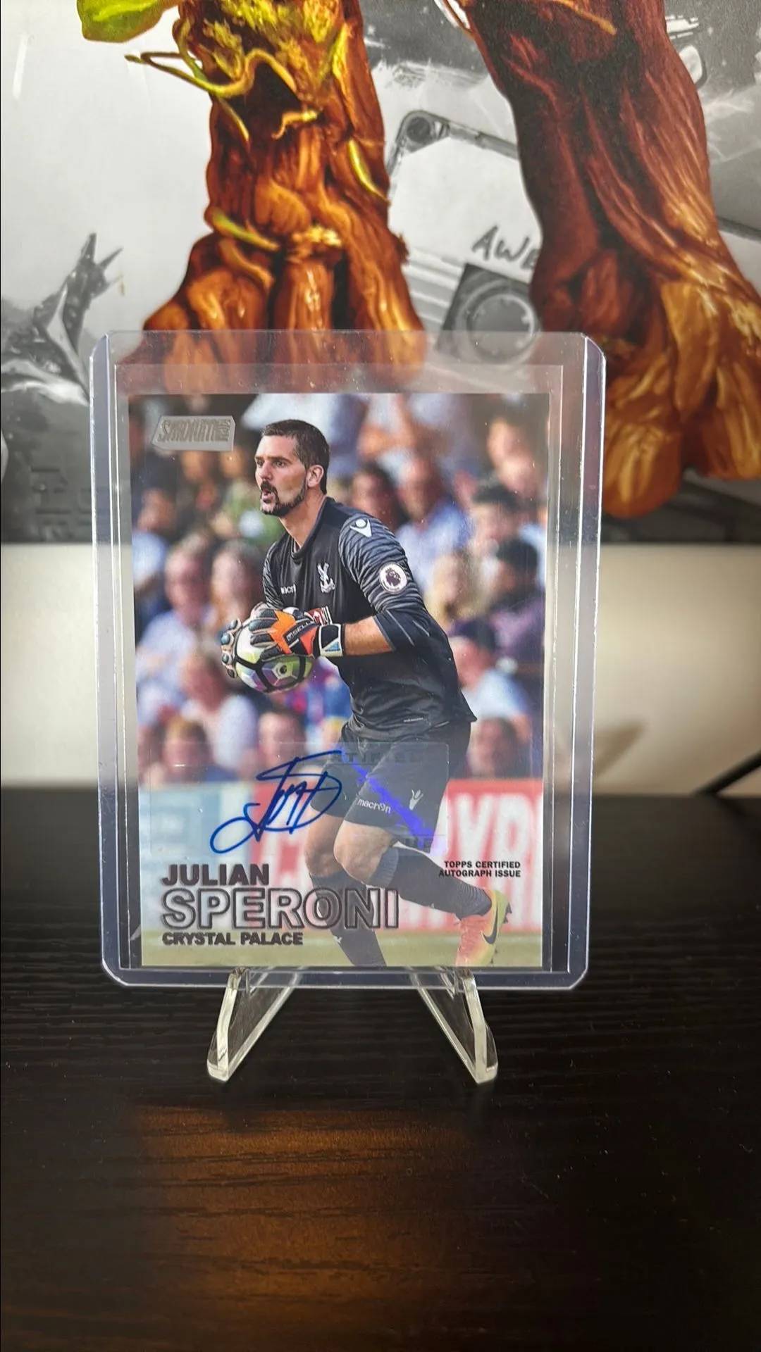 Product image for Julian Speroni 2016 Auto