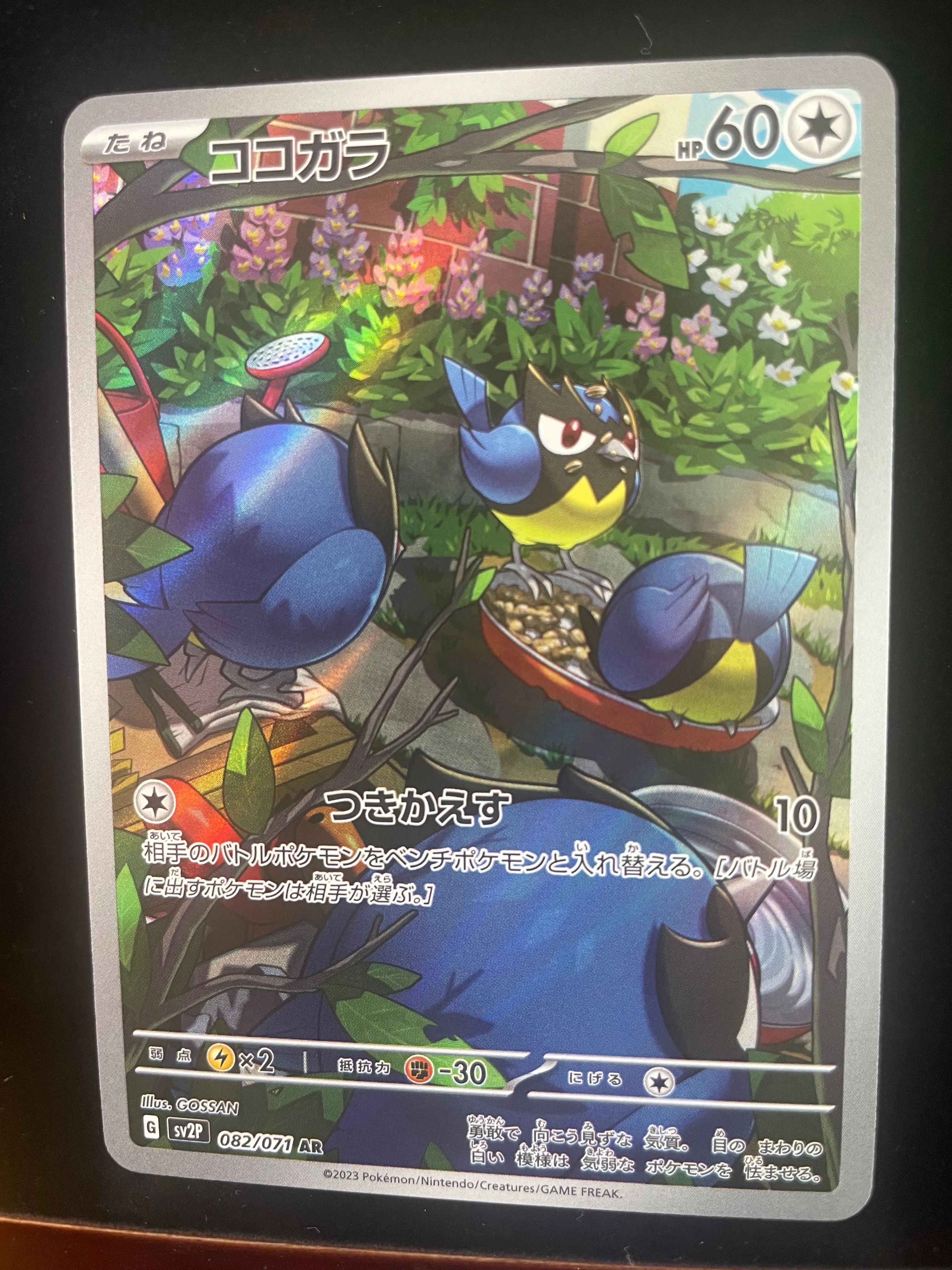 Product image for Rookidee