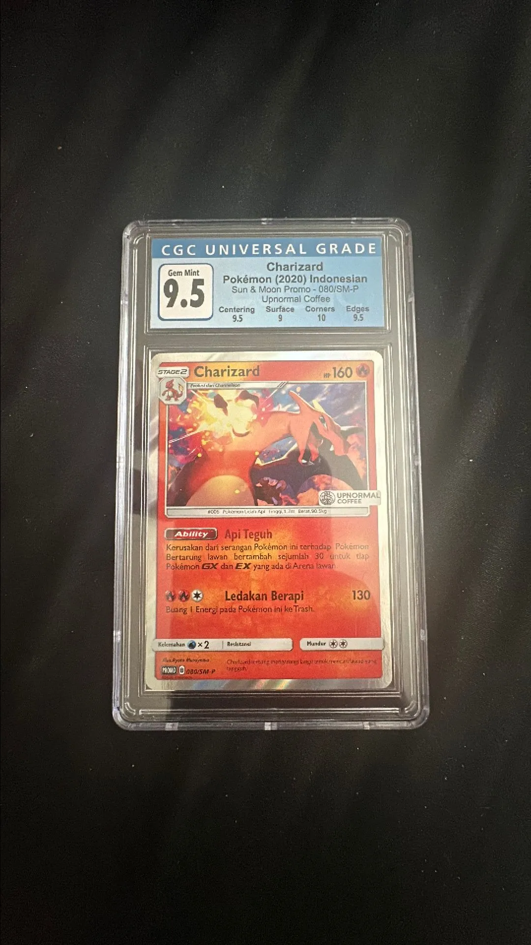 Product image for Indonesian Charizard