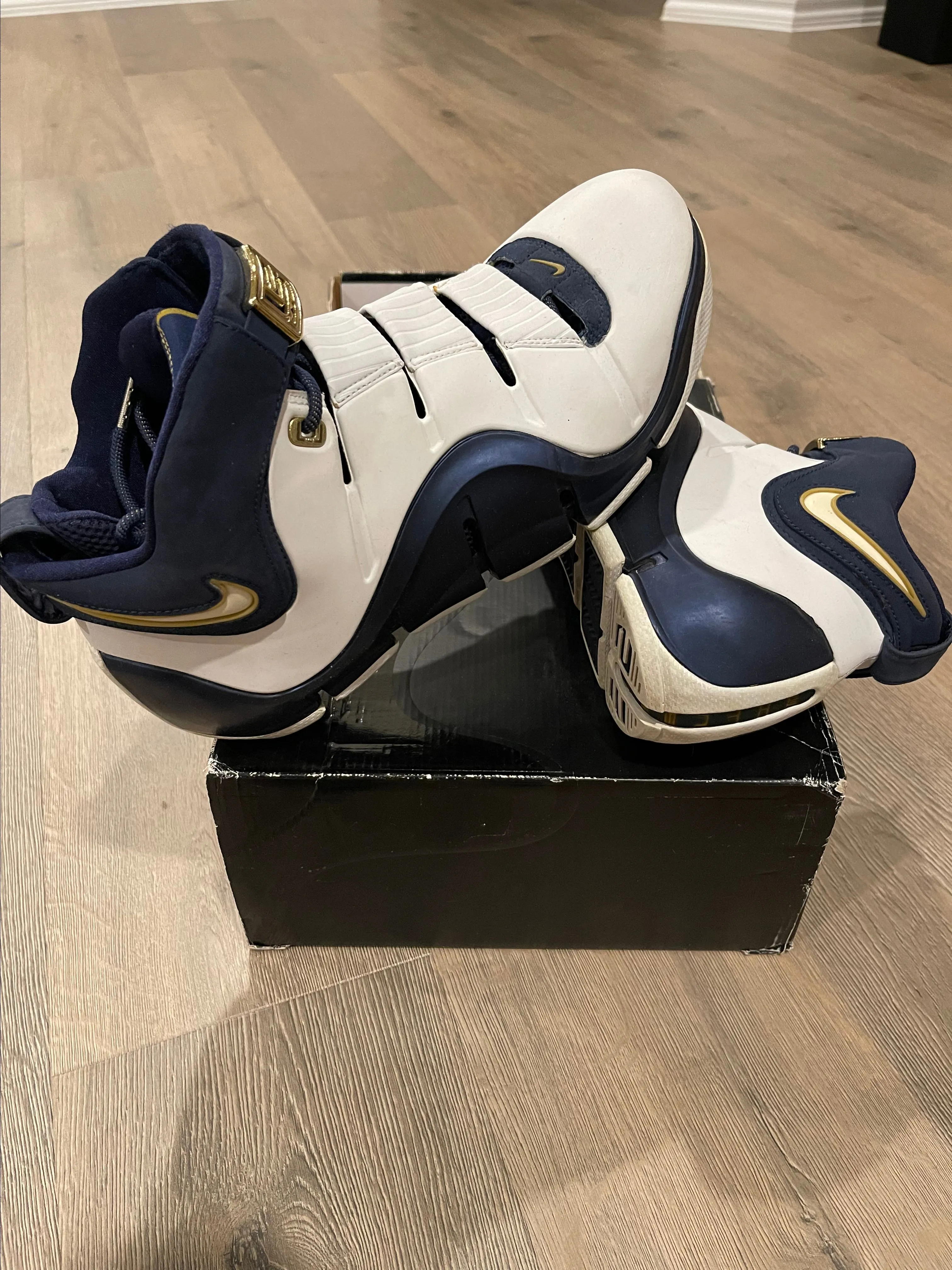 Product image for Zoom Lebron IV