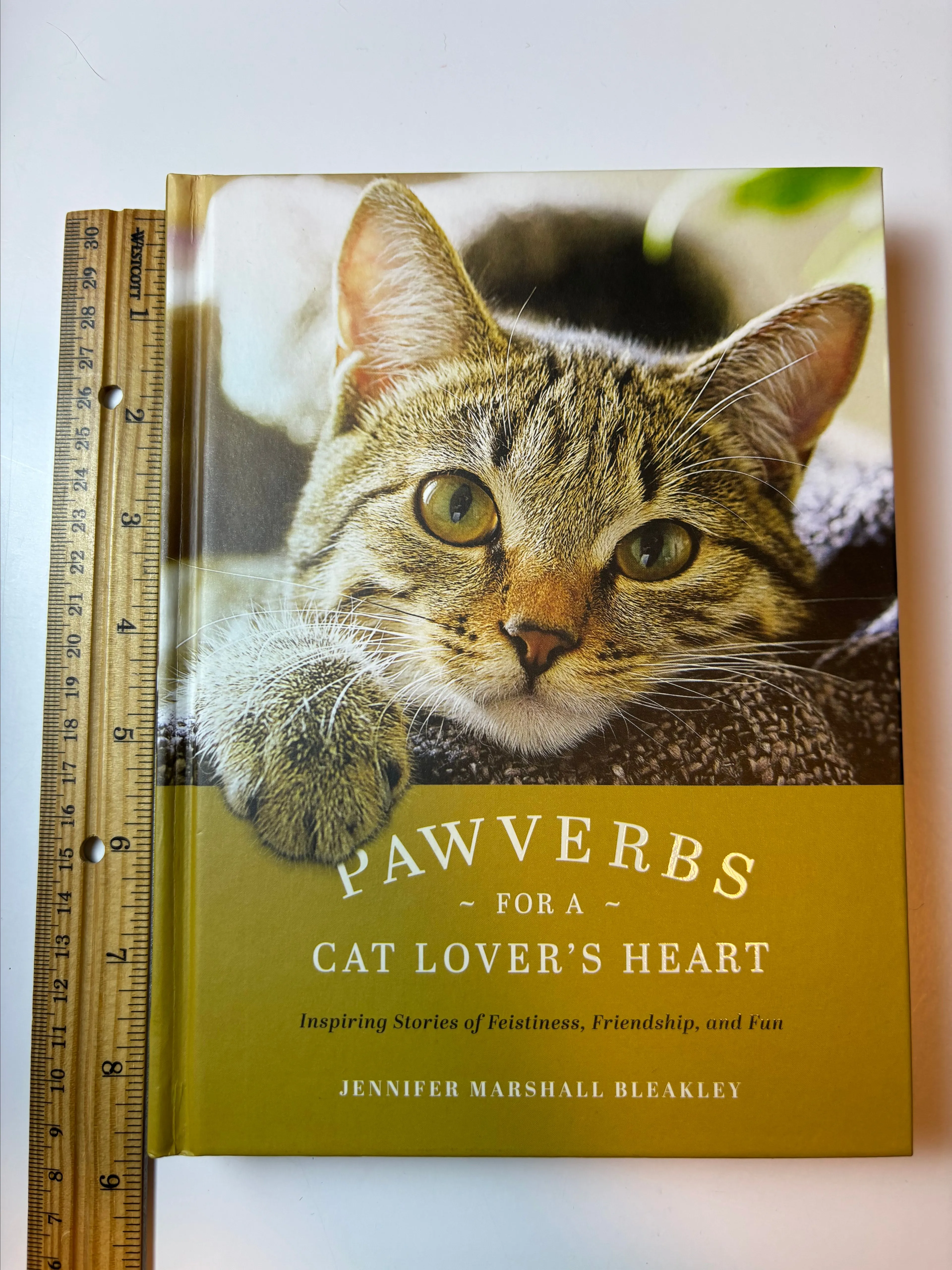 Product image for Cat Book - Pawverbs for a Cat Lover's Heart: Inspiring Stories of Feistiness, Friendship, and Fun