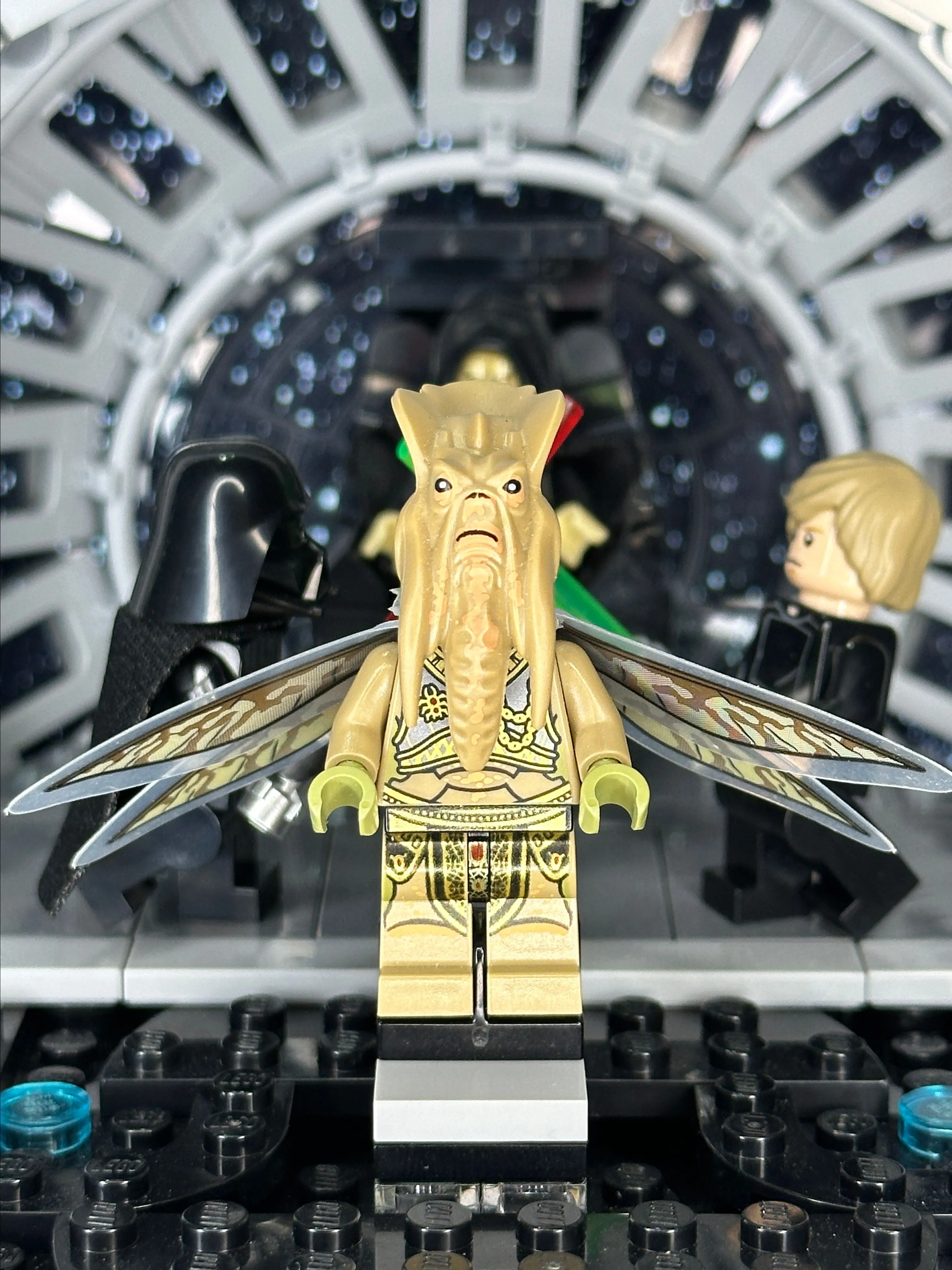 Product image for Poggle The Lesser