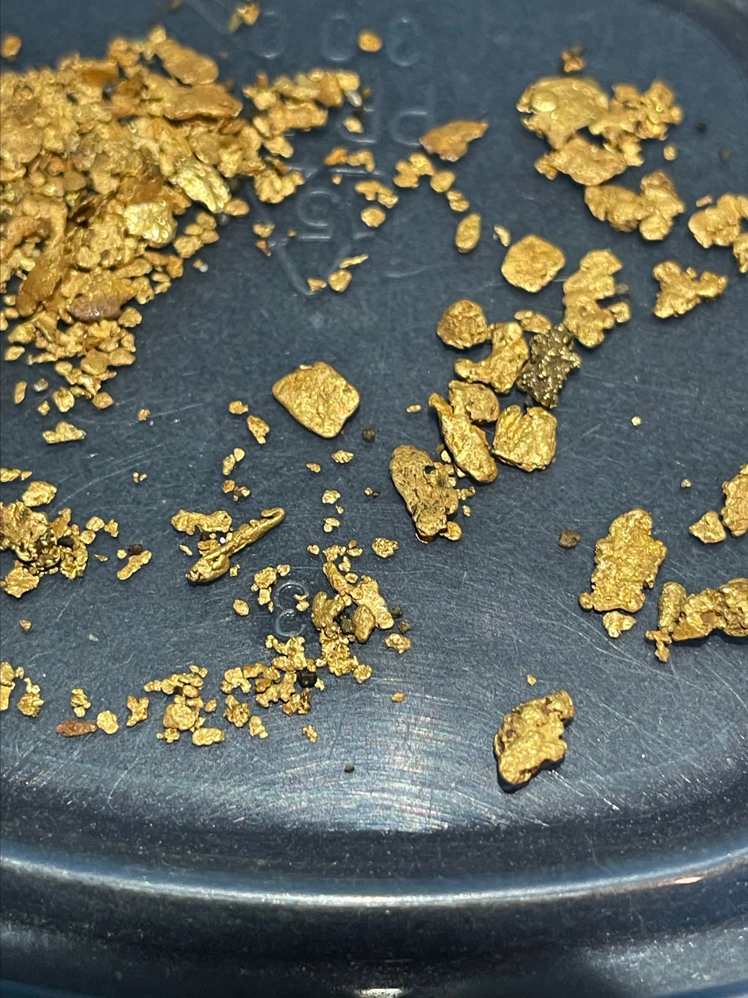 Product image for Raw alaska mesh gold
