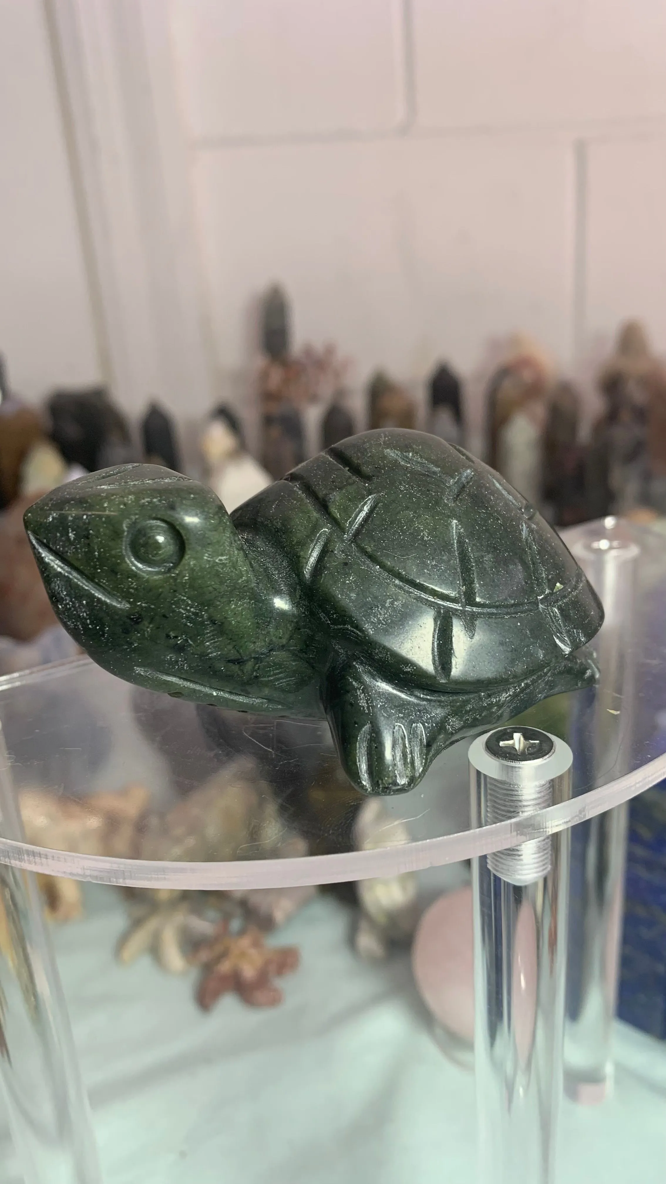Product image for Turtle 🐢 carving