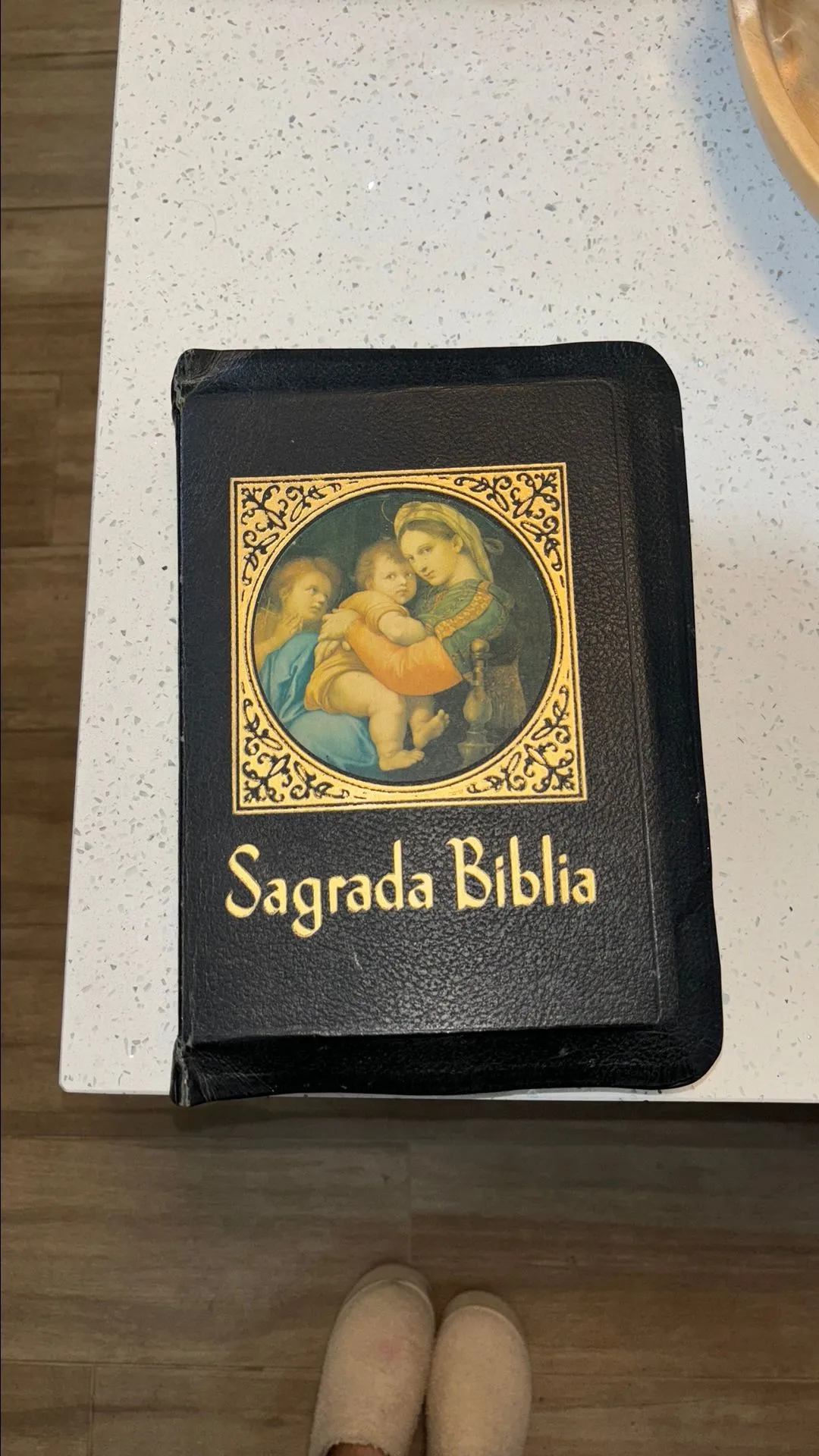 Product image for Sagrada Bible