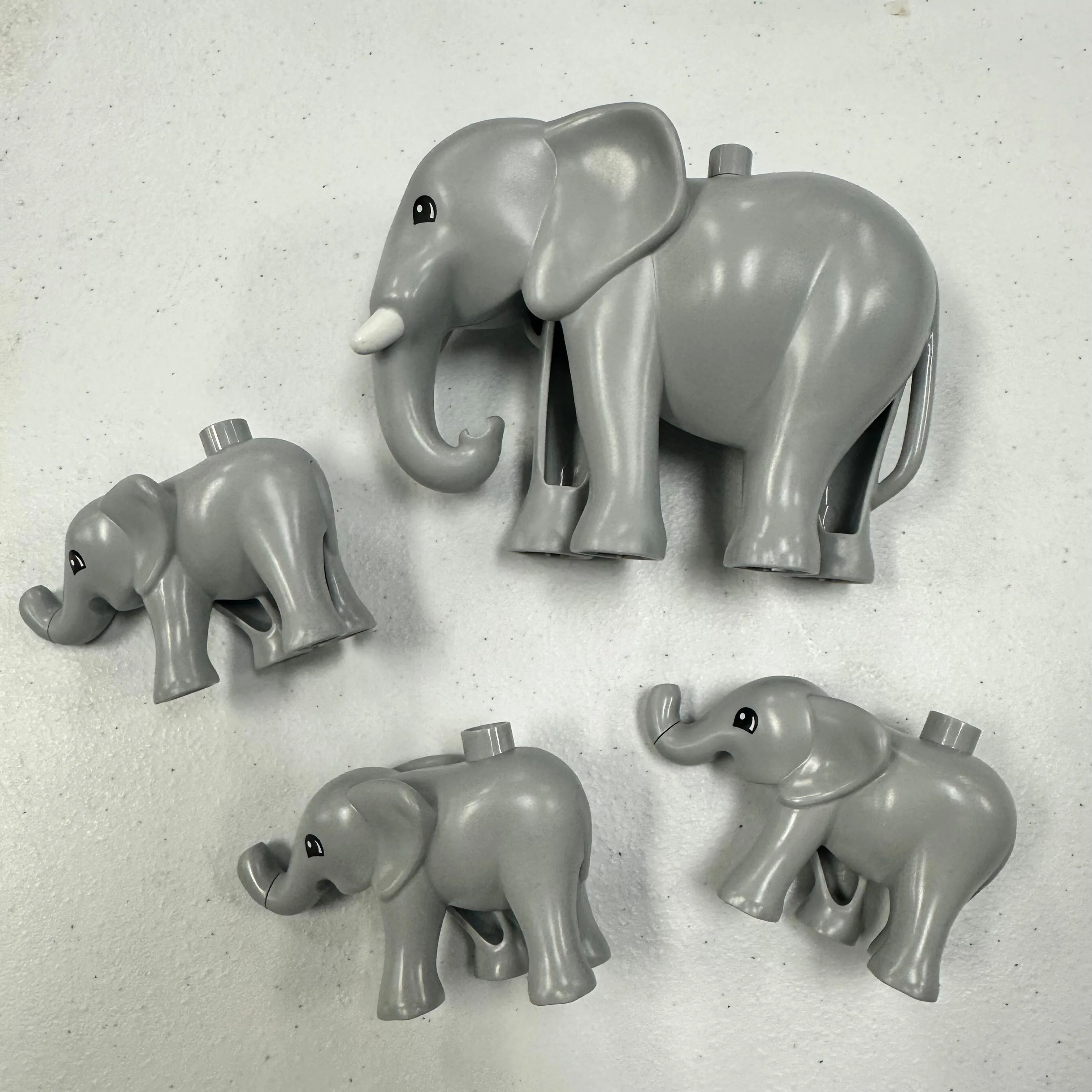 Product image for a Lot 68