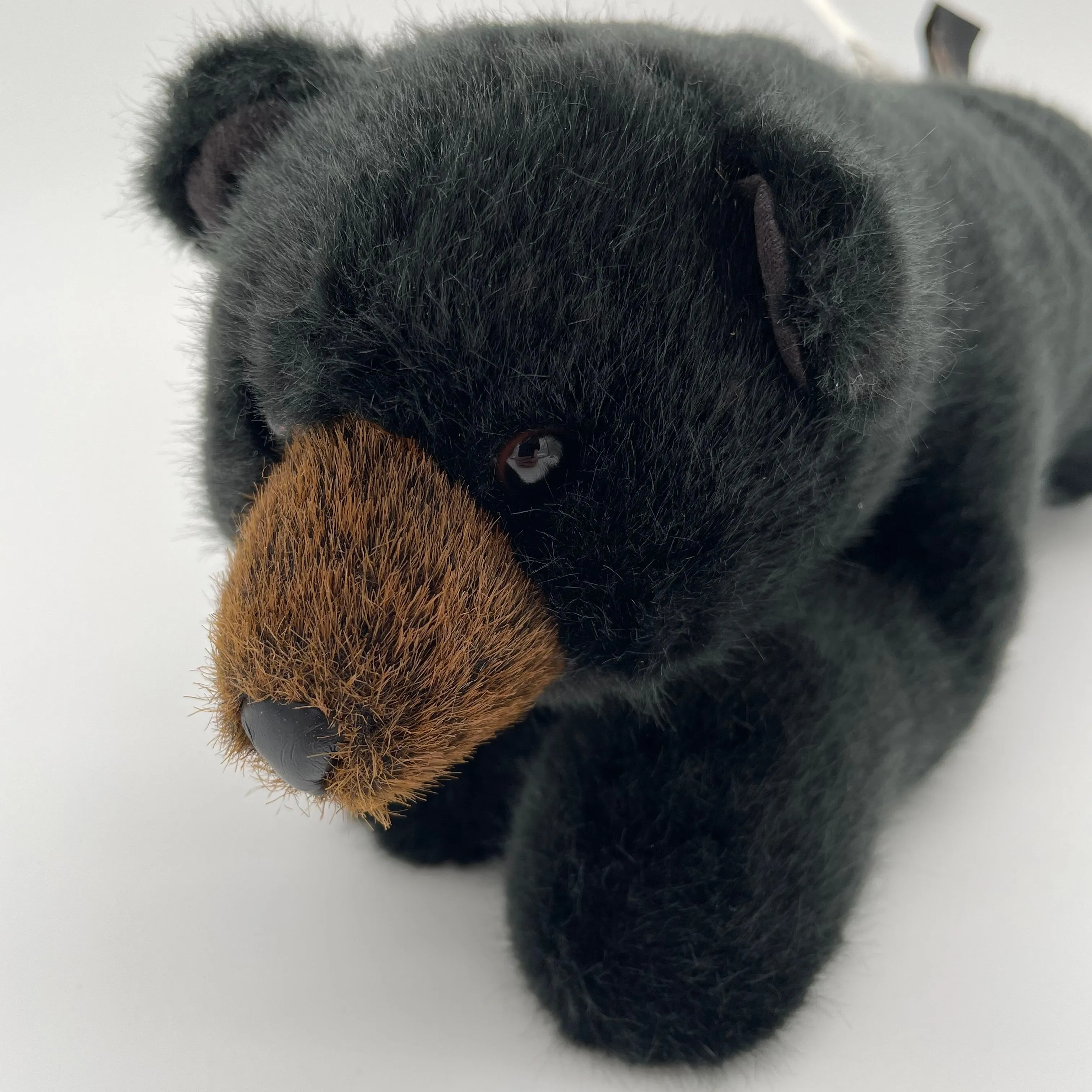 Product image for Ditz Designs Black Bear Plush The Hen House Realistic Small Stuffed Animal 14"